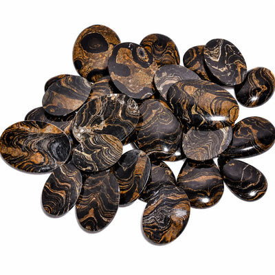 Natural Stromatolite Gemstone Lot, Mixed Shape 20 to 40mm – Fossilized Ancient Life Cabochon