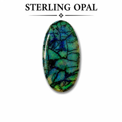 10 Ct Monarch Opal Sterling Cabochon Gemstone for Pendant Making