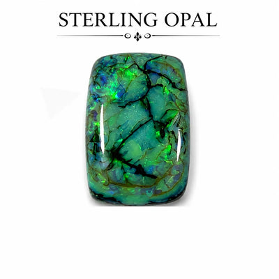 Monarch Opal Cabochon Gemstone for Pendant Making, Sterling Opal AAA Quality
