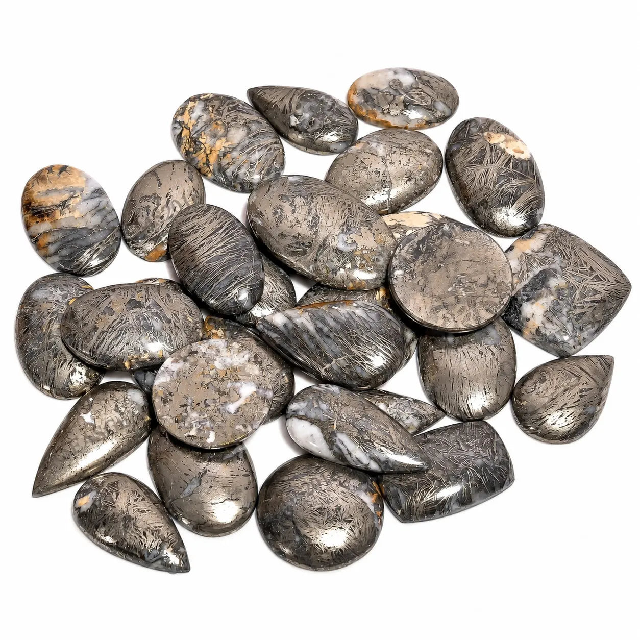 Feather Pyrite Bulk Cabochons lot
