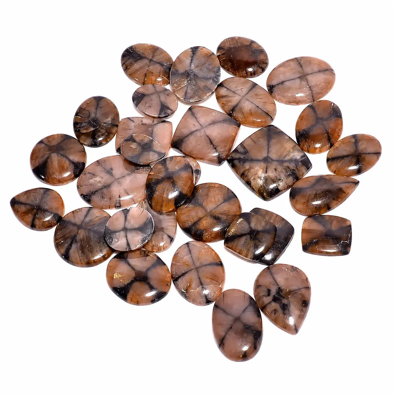 Chiastolite Gemstone Cabochon lot
