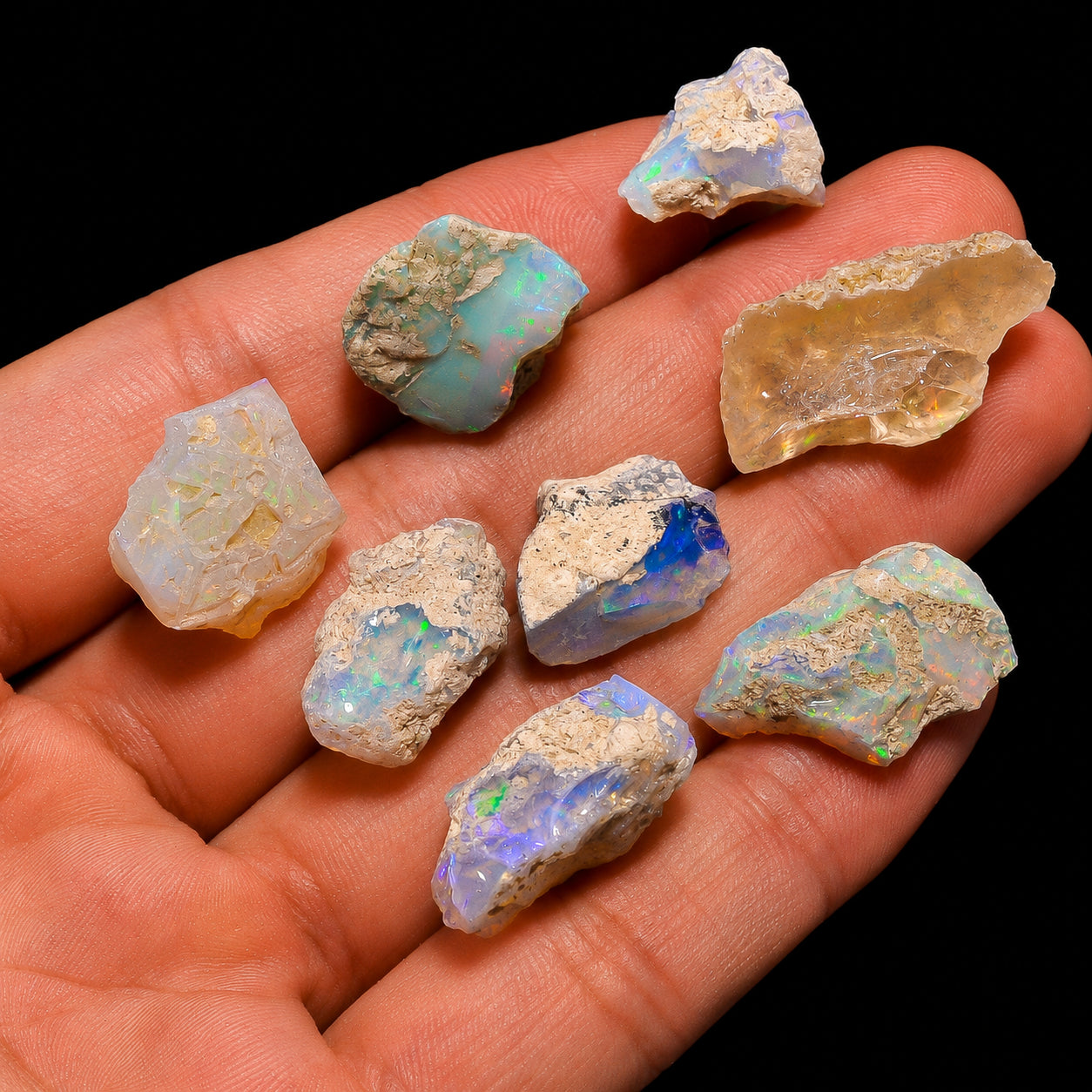 Hand holding multiple pieces of opalized fossils with a dark background