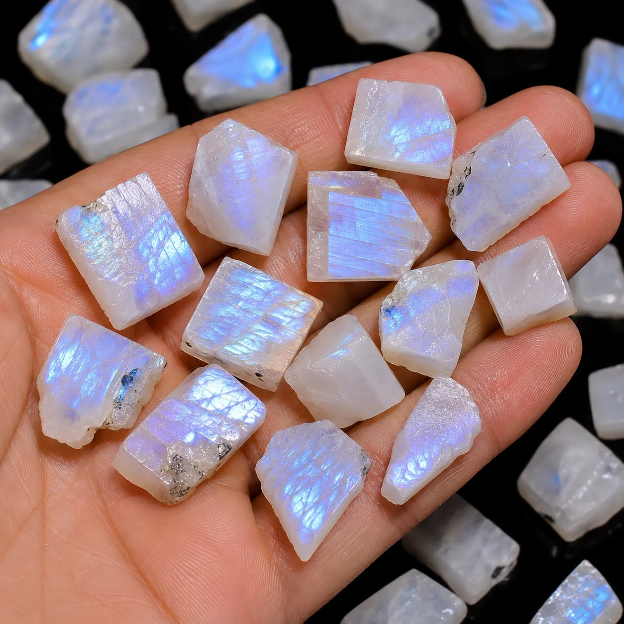 Hand holding multiple rainbow moonstone crystals with a blurred background of more stones.