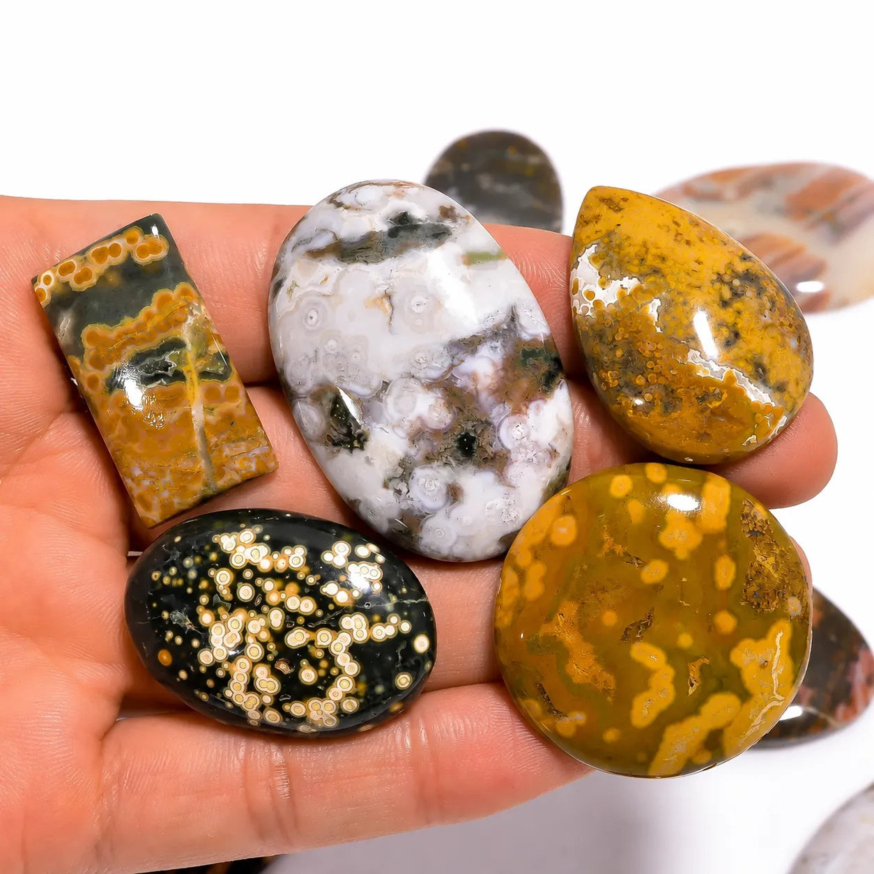 AAA Ocean Jasper Cabochon in Multicolor 