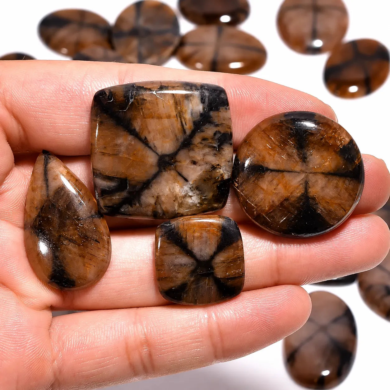 Natural Chiastolite Cabochon in Mix Shape