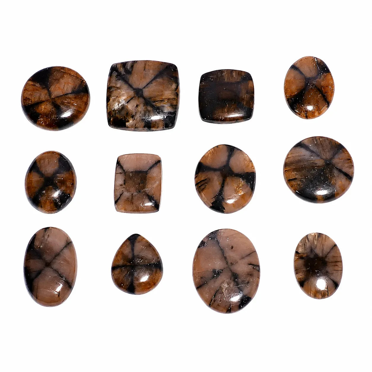 Chiastolite Cabochon wholesale lot in cross-patterns