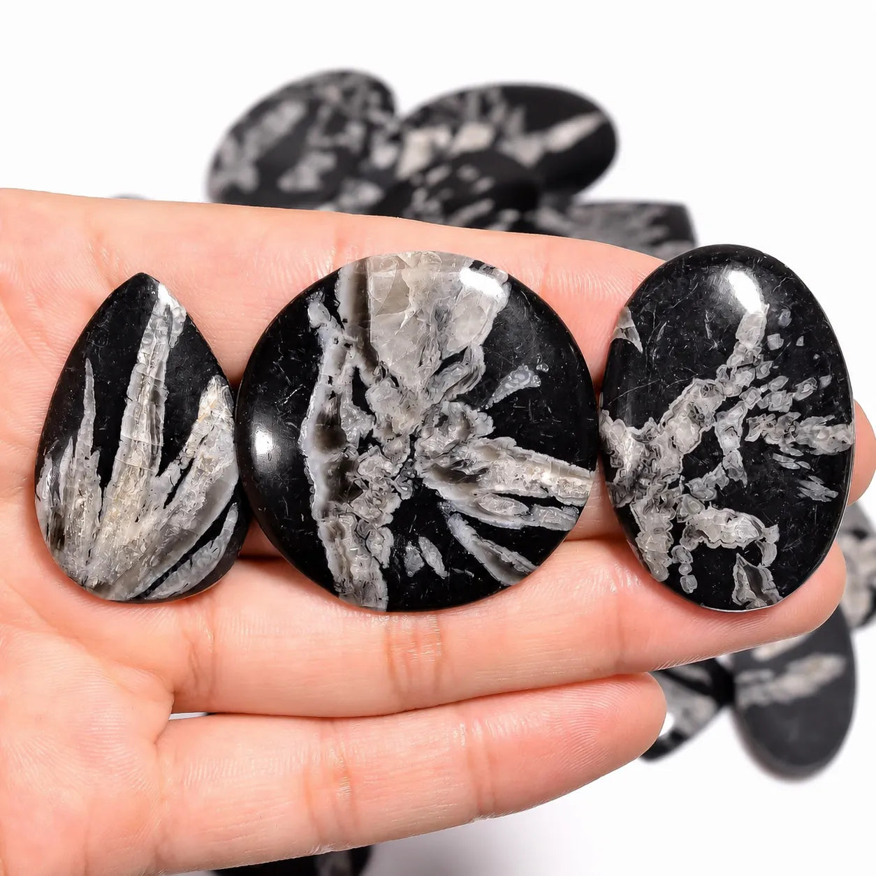 AAA Chrysanthemum cabochon lot – Black & White Gemstone for artisan jewelry (1–10 Pieces)