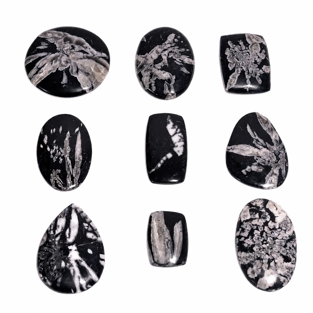 AAA Chrysanthemum cabochon lot – Black & White Gemstone for artisan jewelry (1–10 Pieces)