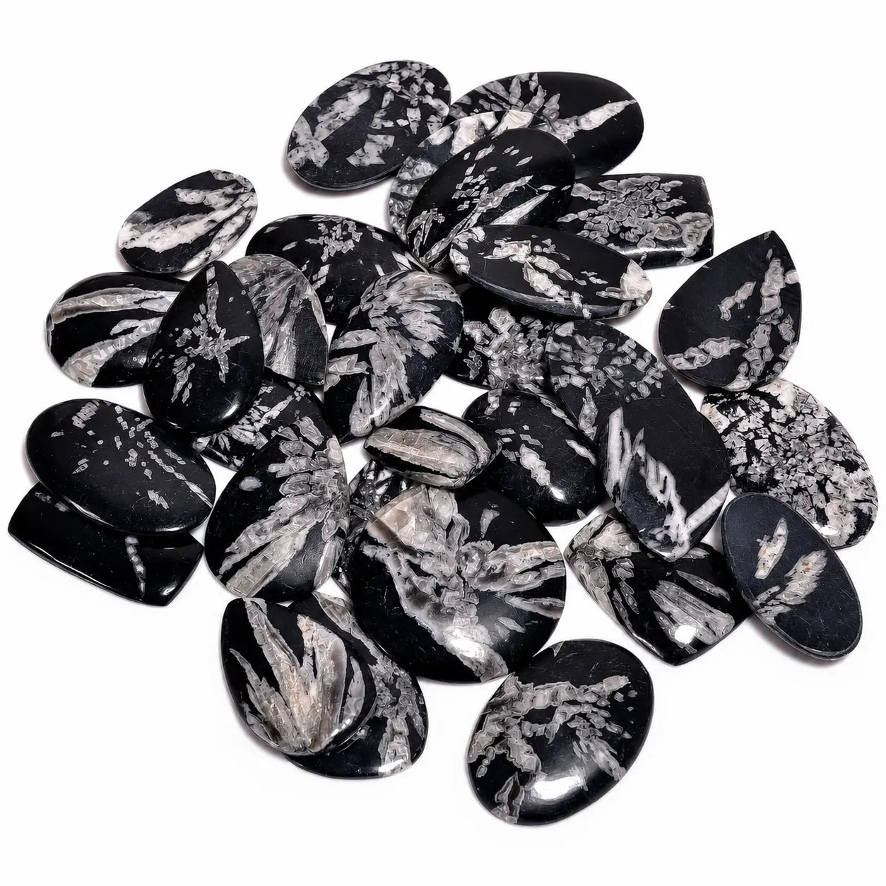AAA Chrysanthemum cabochon lot – Black & White Gemstone for artisan jewelry (1–10 Pieces)