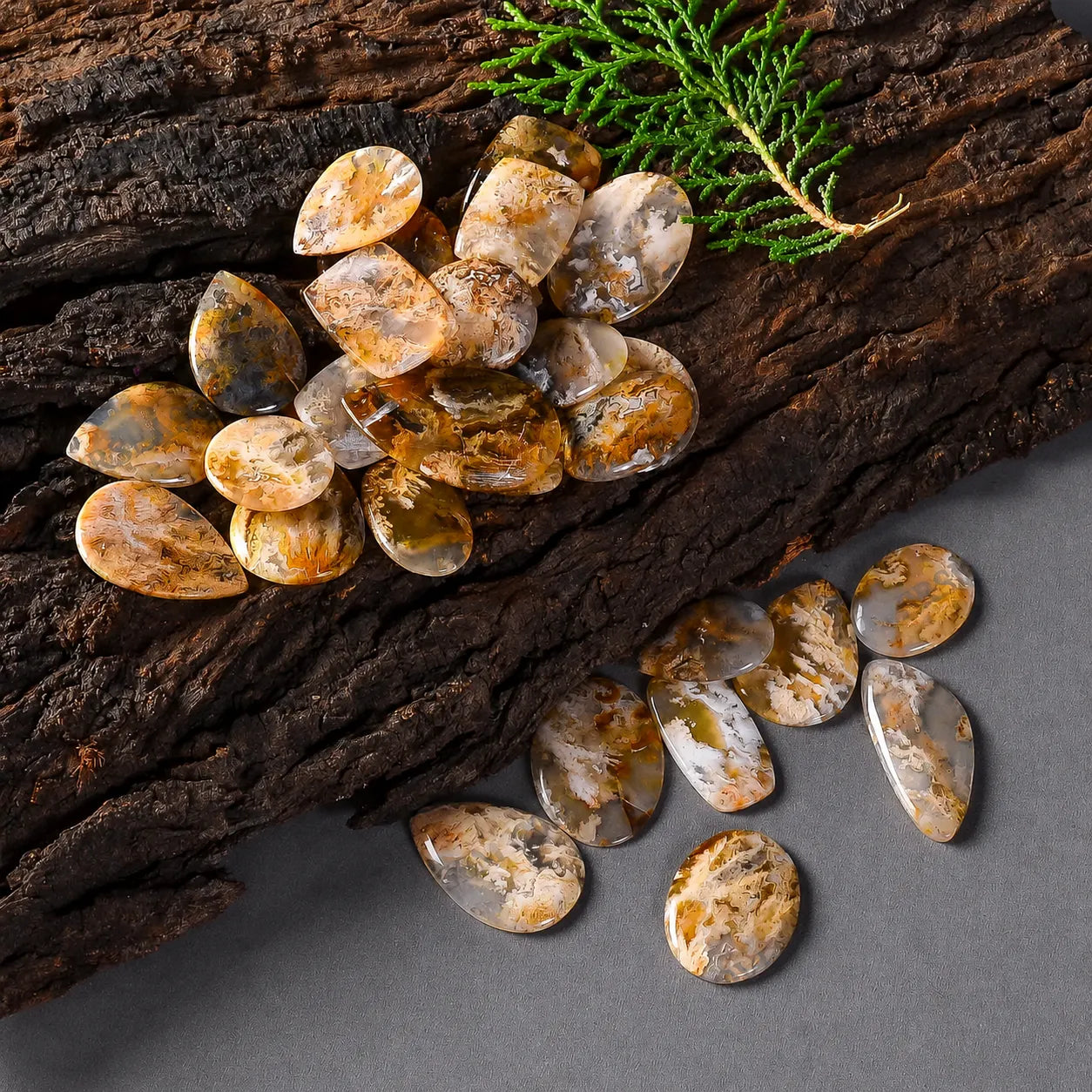 AAA Plume Agate Cabochon Lot