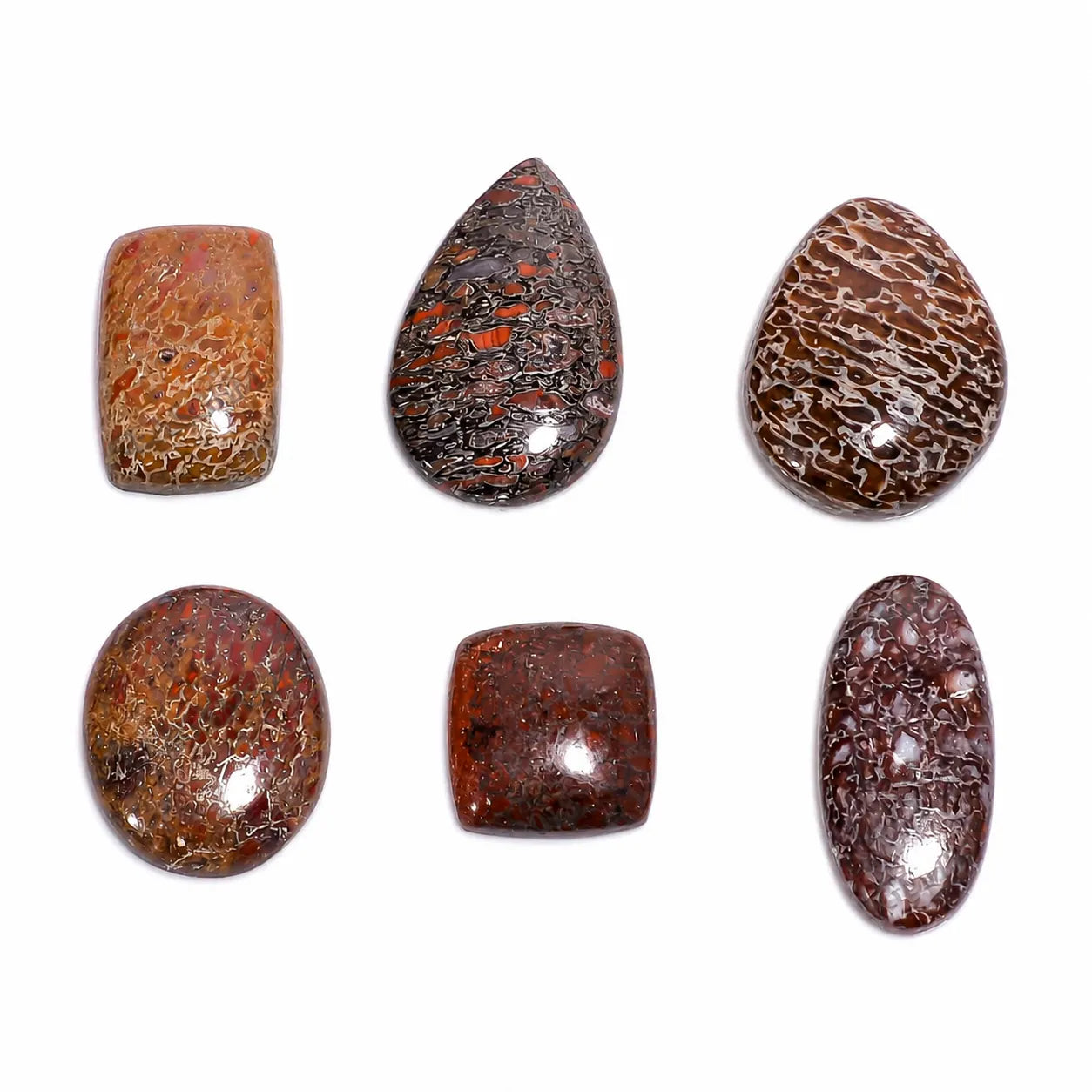 Natural Dinosaur Bone Fossil Cabochon