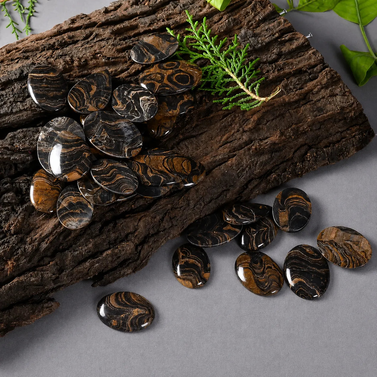 Stromatolite Wholesale Gemstone 20–40 mm