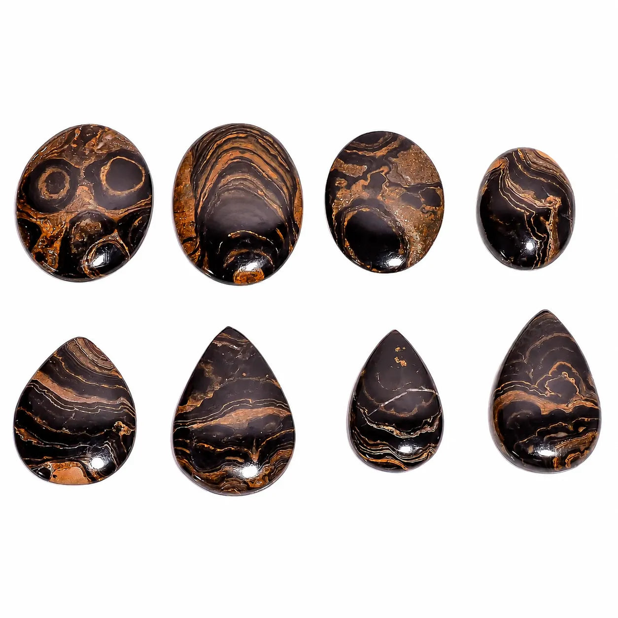 AAA Natural Stromatolite 1–10 Pieces