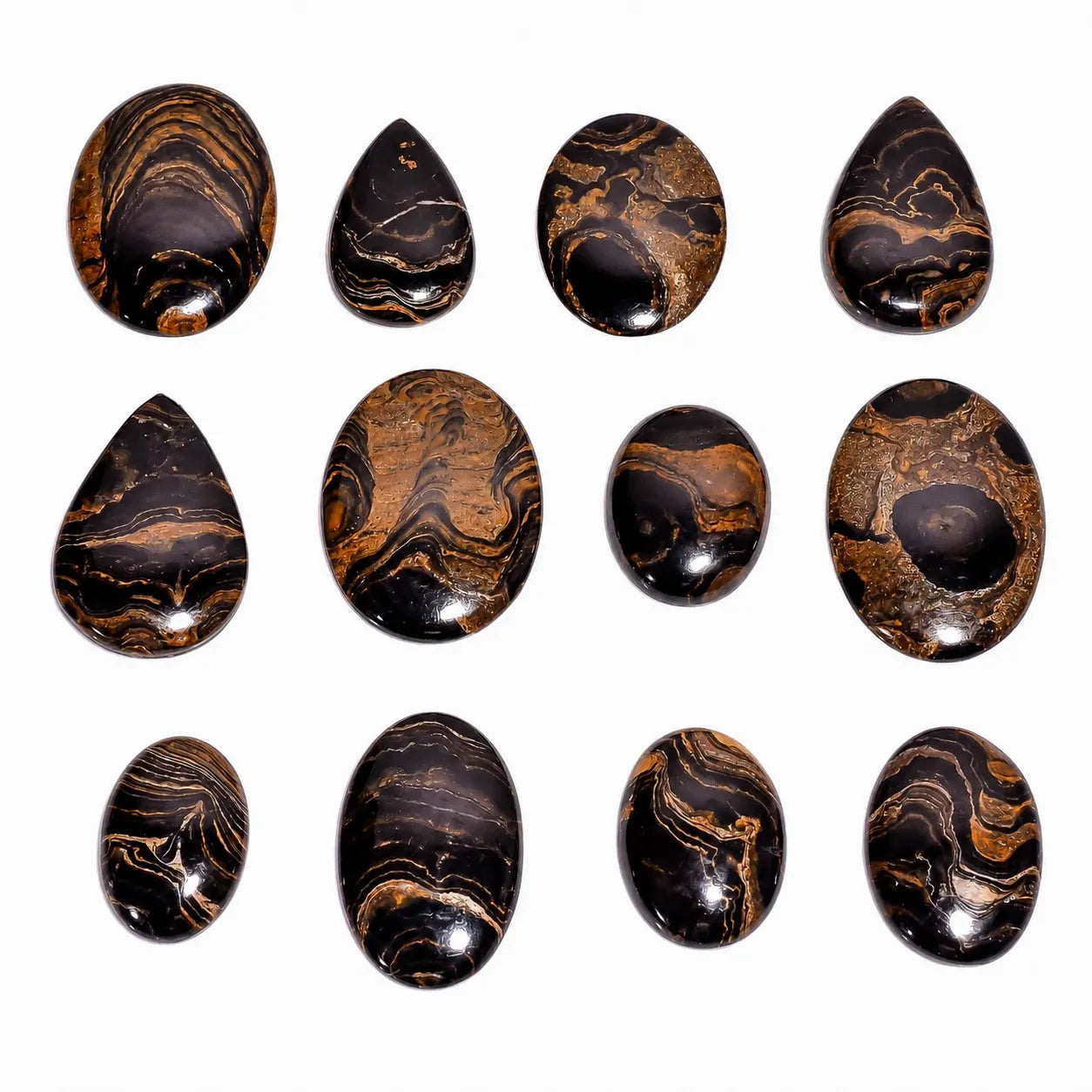 AAA Natural Stromatolite  Cabochon lot