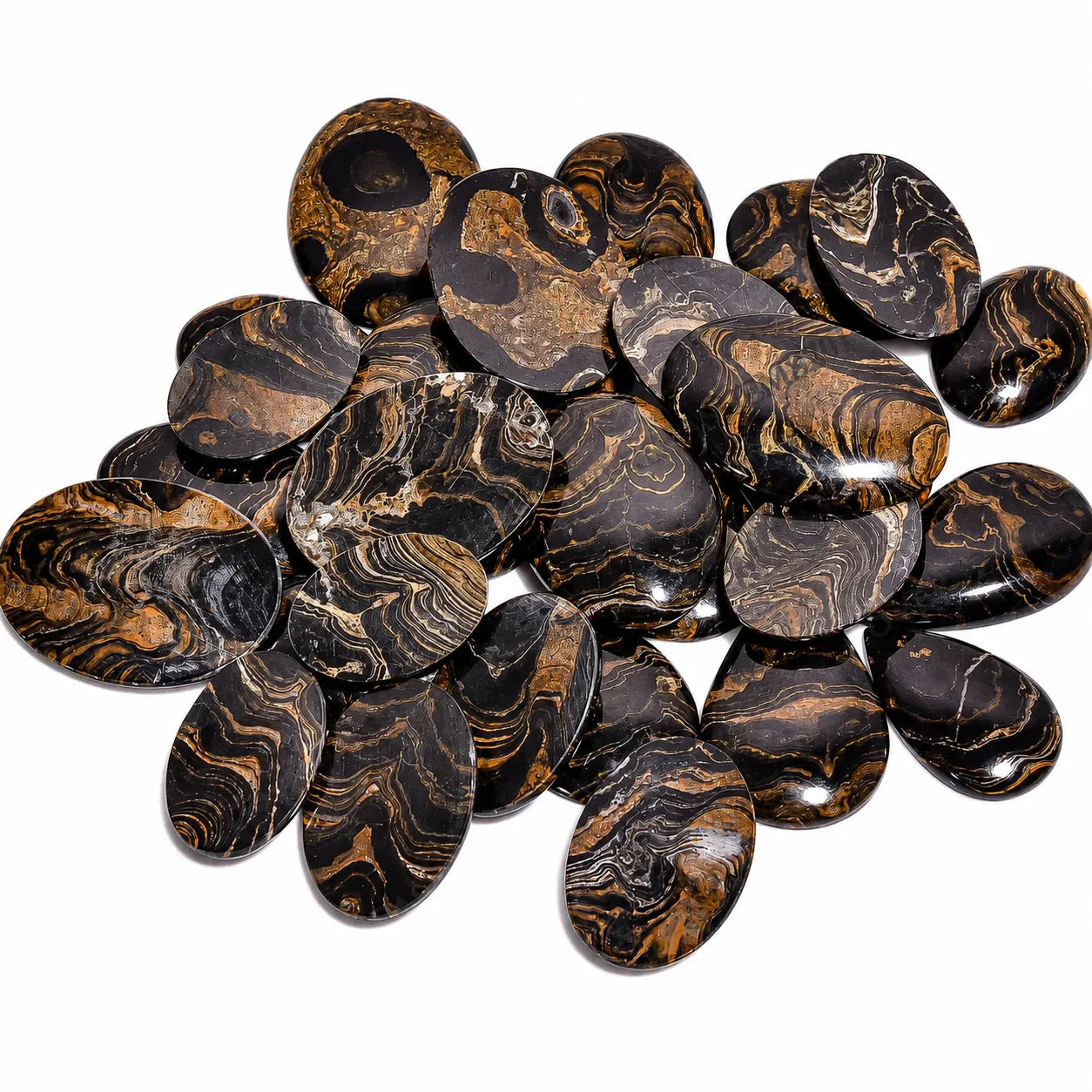 Natural Stromatolite Wholesale Gemstone Lot