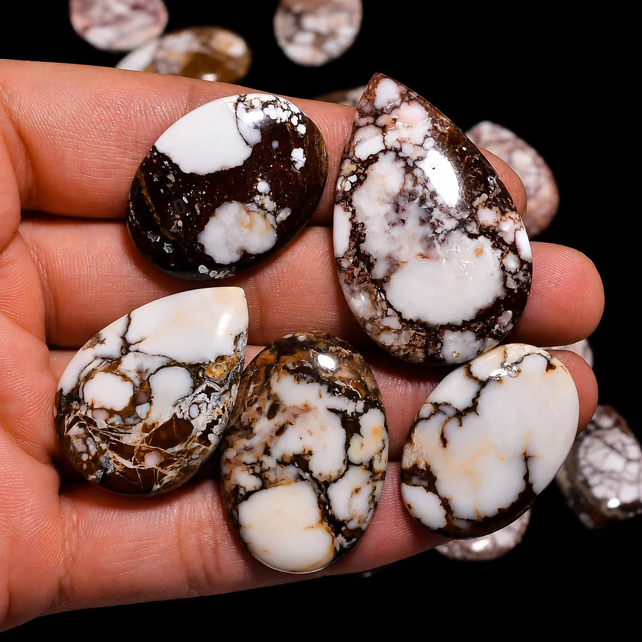 Wild Horse Mix Shape Cabochon Lot