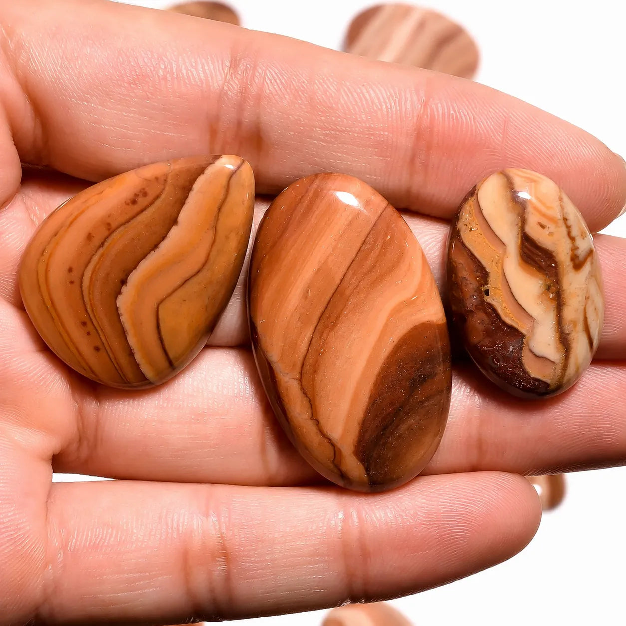 AAA Wood Dolomite Cabochon lot