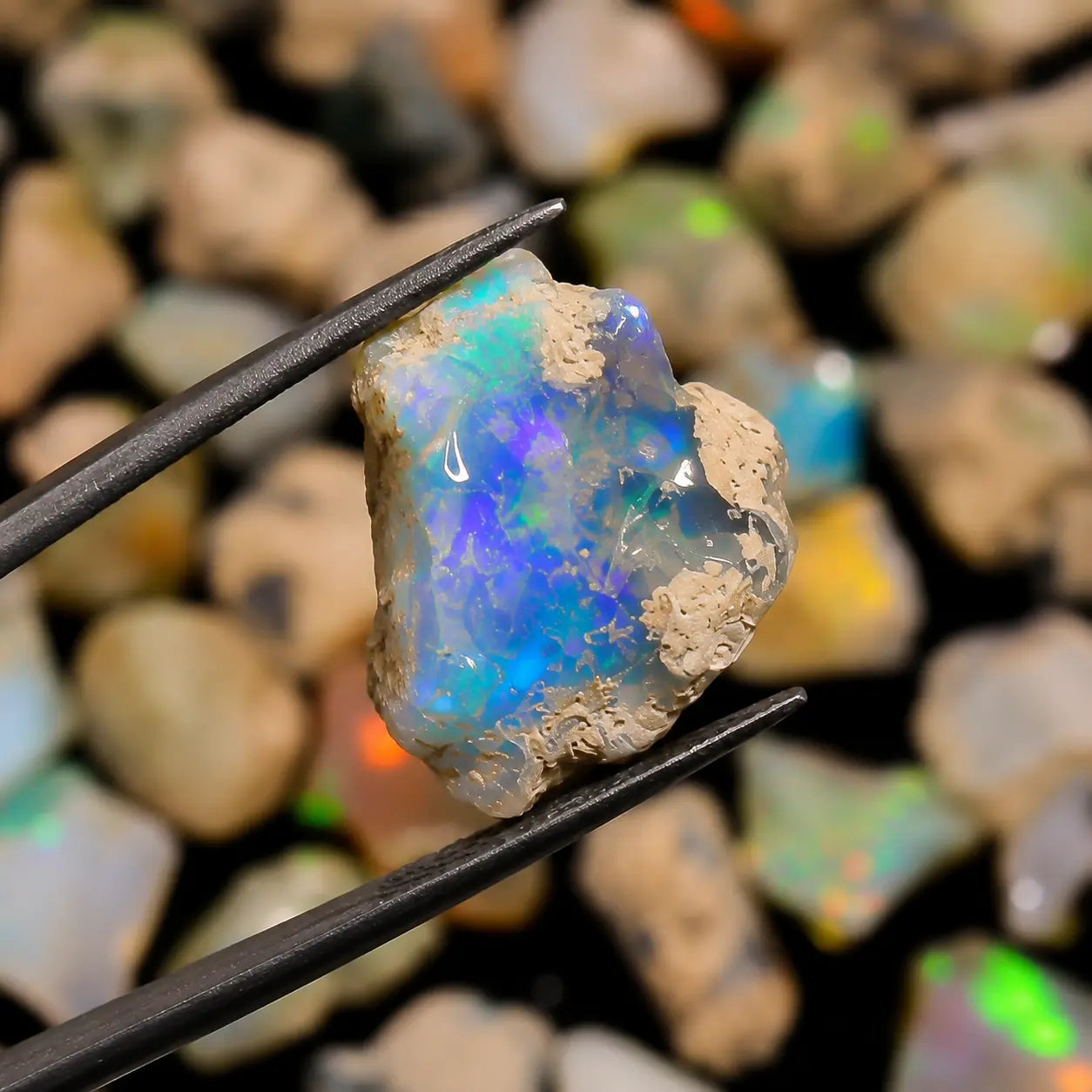 Raw opal stone held by tweezers with a blurred background of more opals.