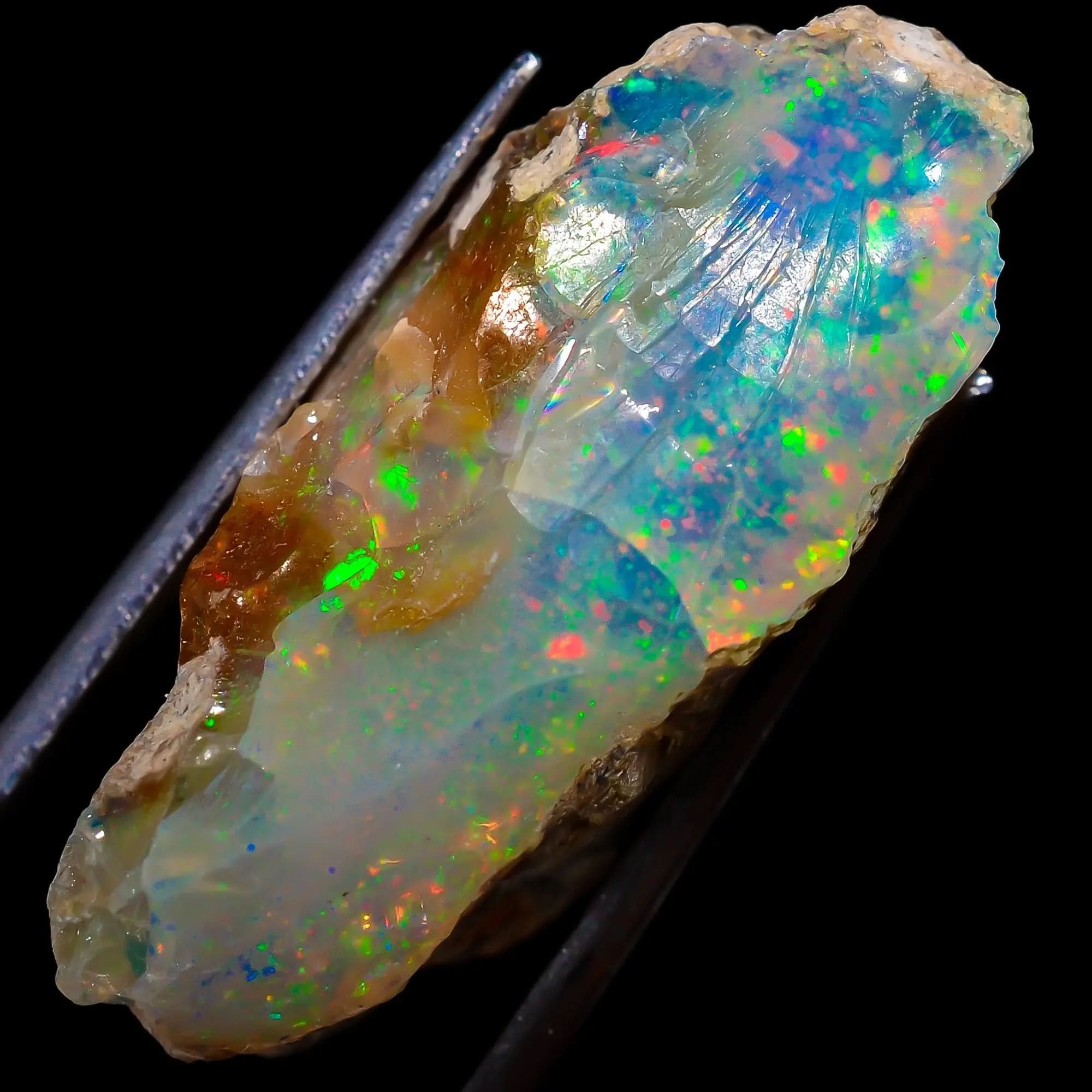 Flashy Rainbow raw rough opal
