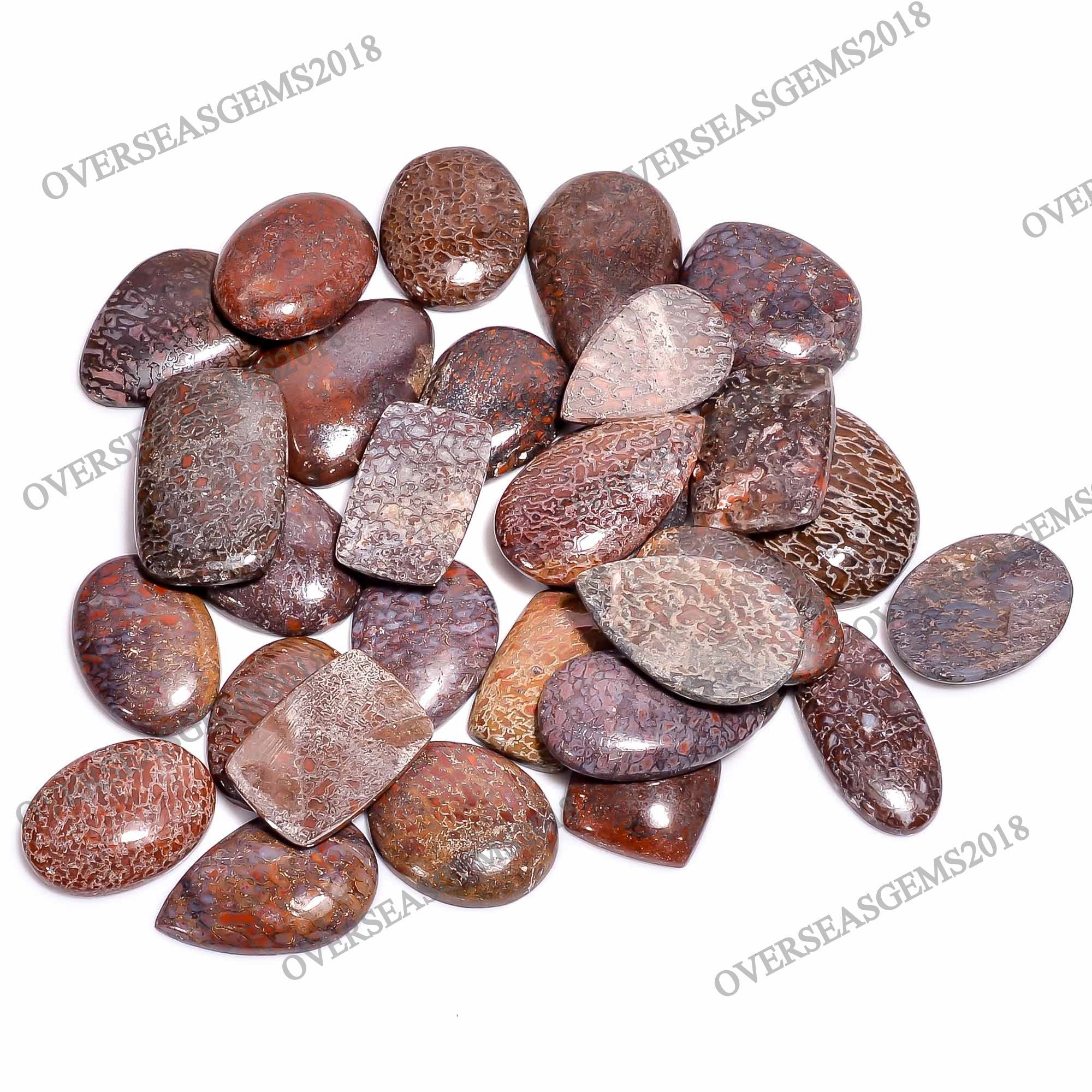 Natural Dinosaur Bone Cabochon Gemstone, DIY Jewelry Making