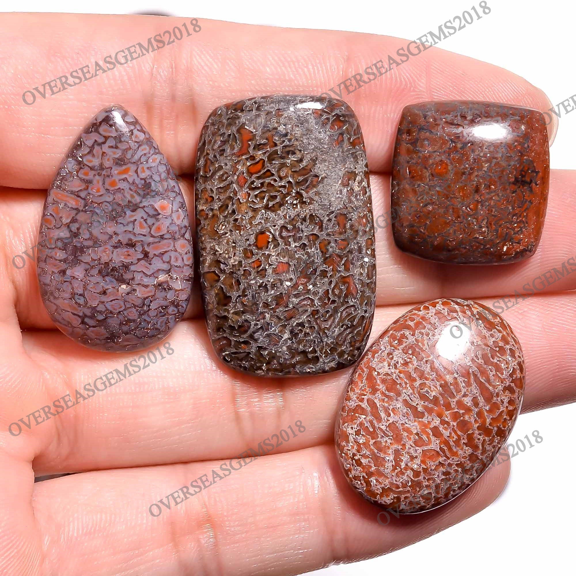 Natural Dinosaur Bone Cabochon Gemstone, DIY Jewelry Making - image 4