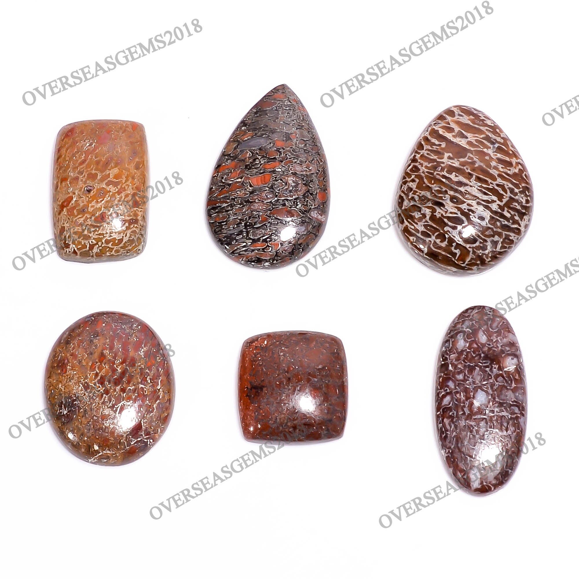 Natural Dinosaur Bone Cabochon Gemstone, DIY Jewelry Making - image 3