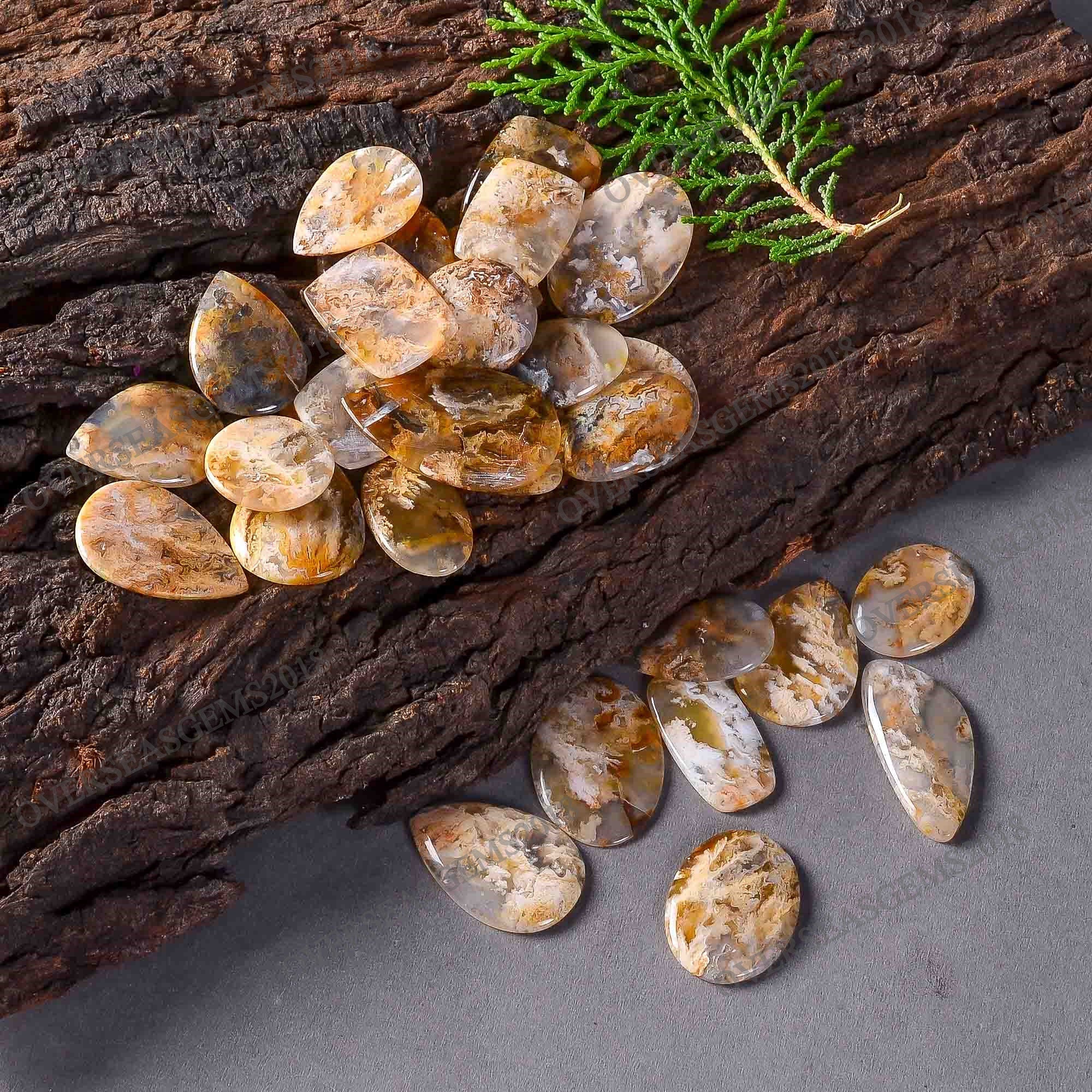 Natural Plume Agate Cabochons, Designer Gemstones, Jewelry Making Supplies - image 5
