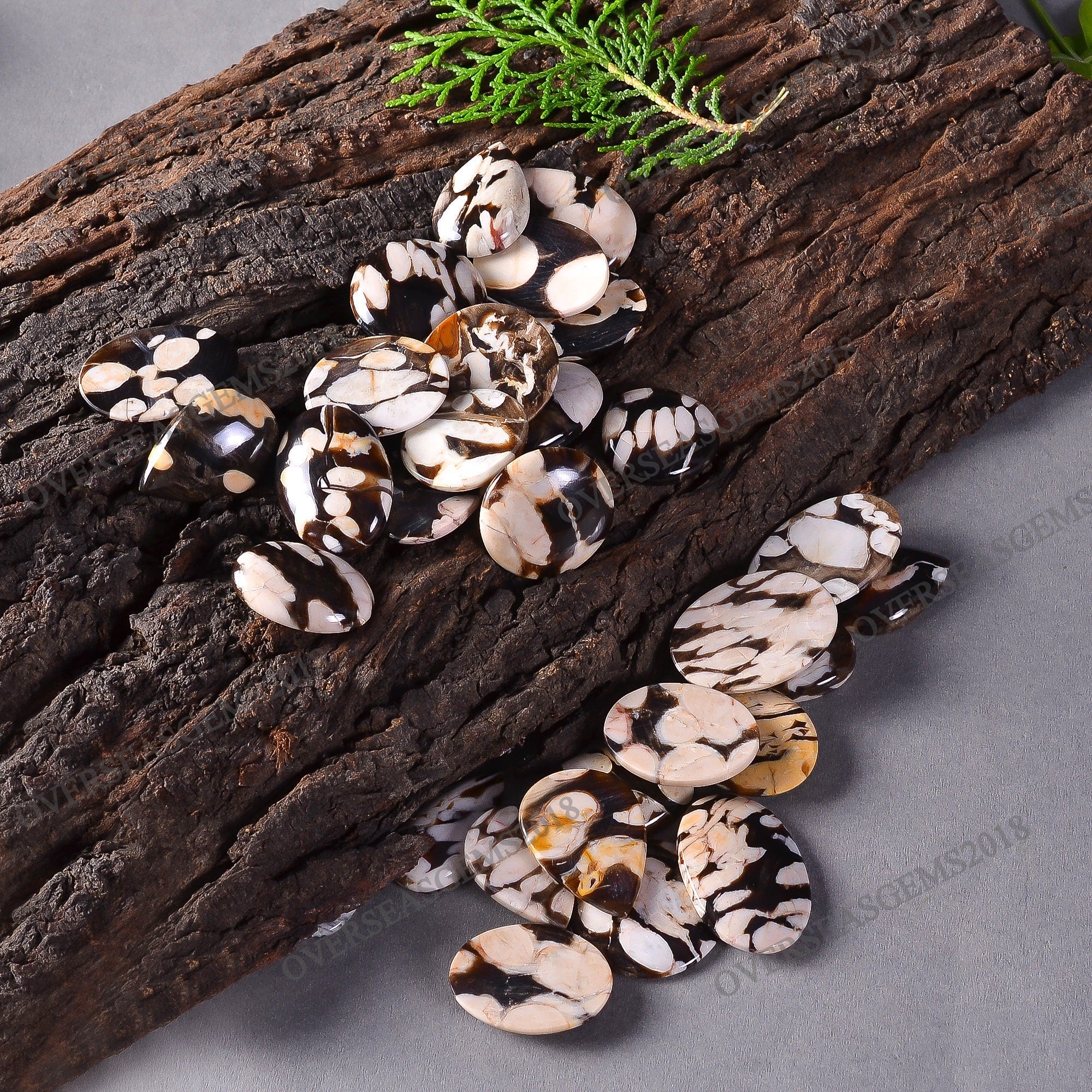Natural Peanut Wood Cabochon Lot, Mix Shape, Wholesale Gemstone - image 5