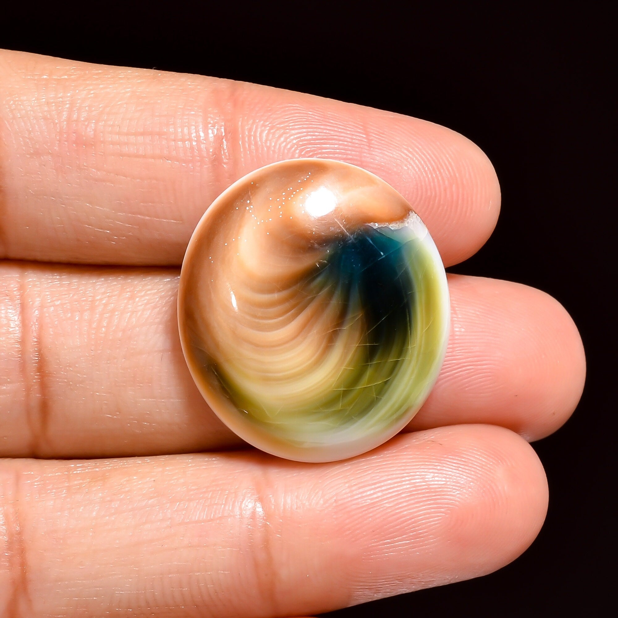 Natural Shiva Eye Shell Gemstone Cabochon, Jewelry Making Supply - image 2