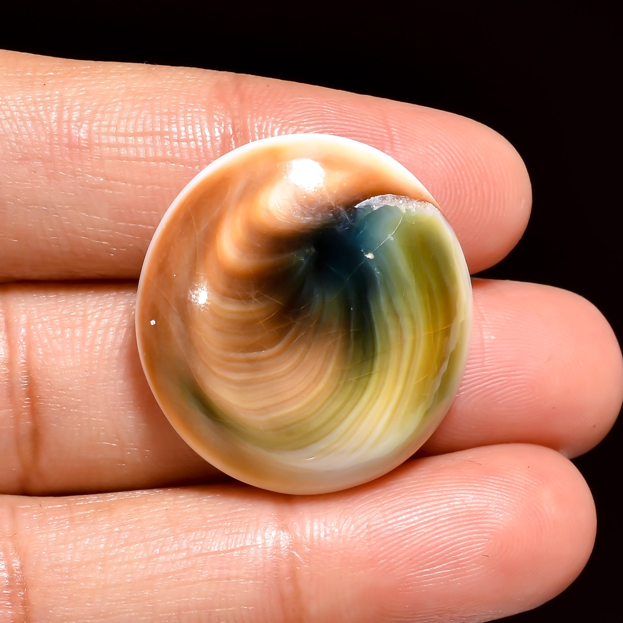 Natural Shiva Eye Shell Gemstone Cabochon, Jewelry Making Supply