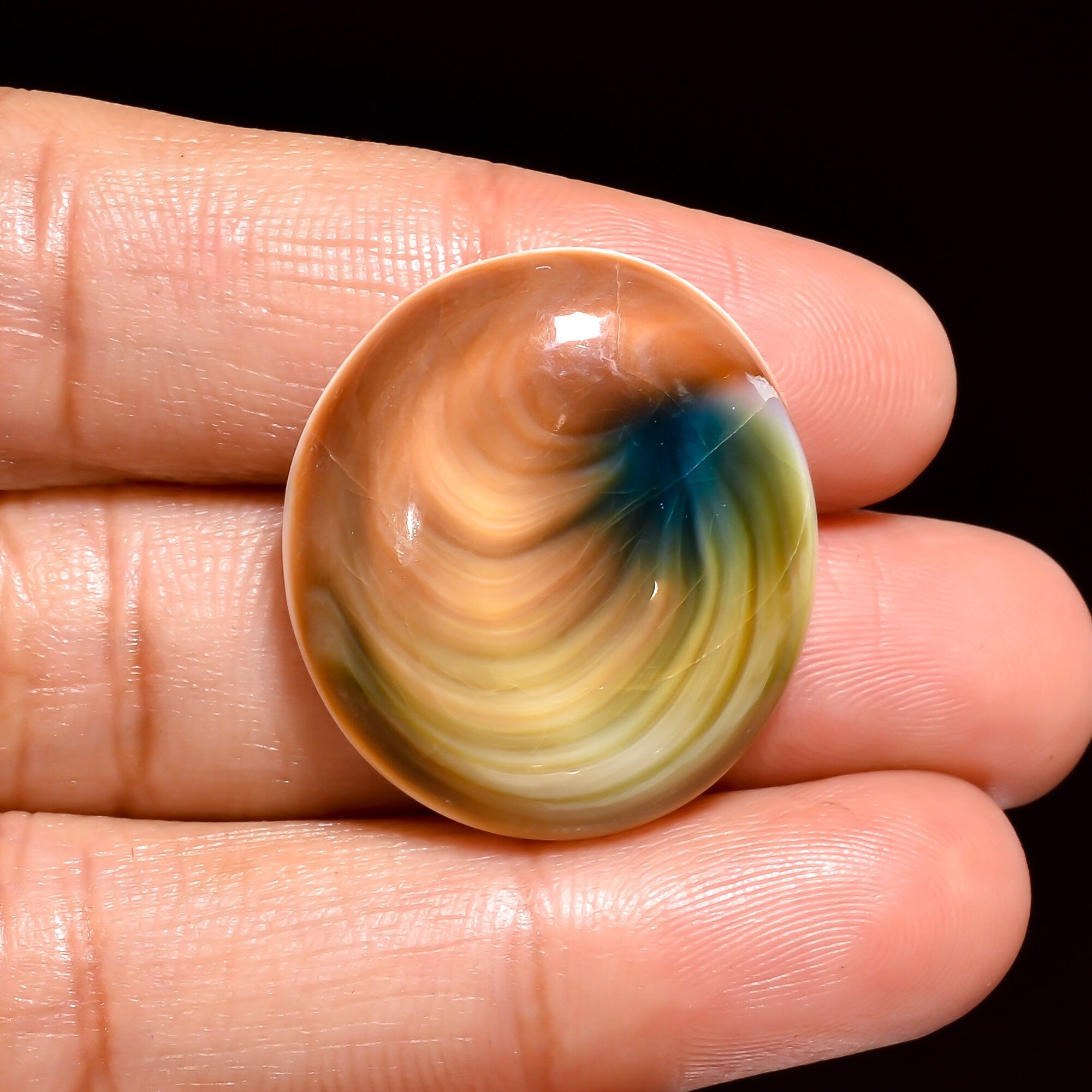 Natural Shiva Eye Shell Gemstone Cabochon, Jewelry Making Supply - image 3