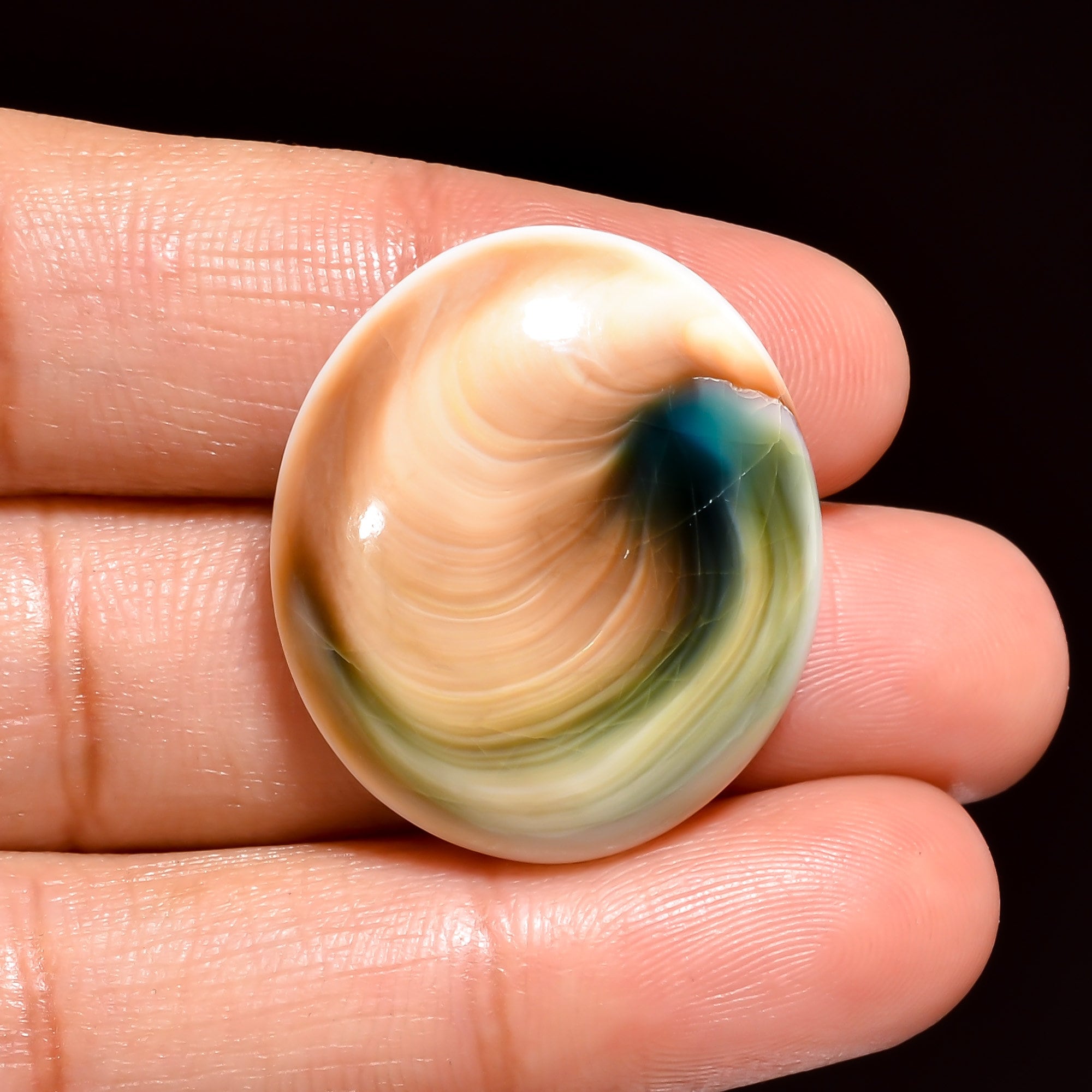 Natural Shiva Eye Shell Gemstone Cabochon, Jewelry Making Supply - image 4