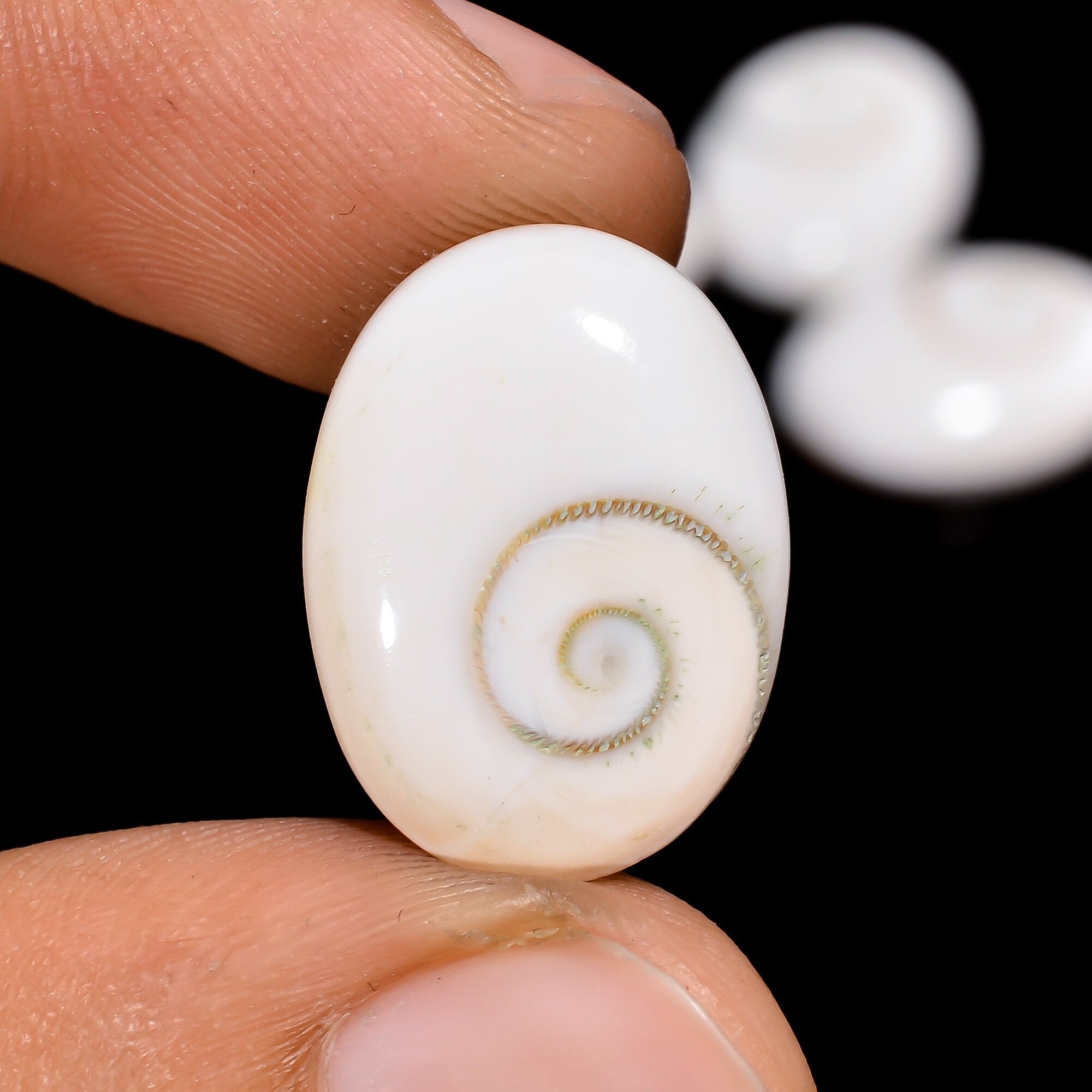 Oval Shiva Eye Shell Cabochons, Natural Gemstone, Jewelry Making (4 Pcs) - image 3