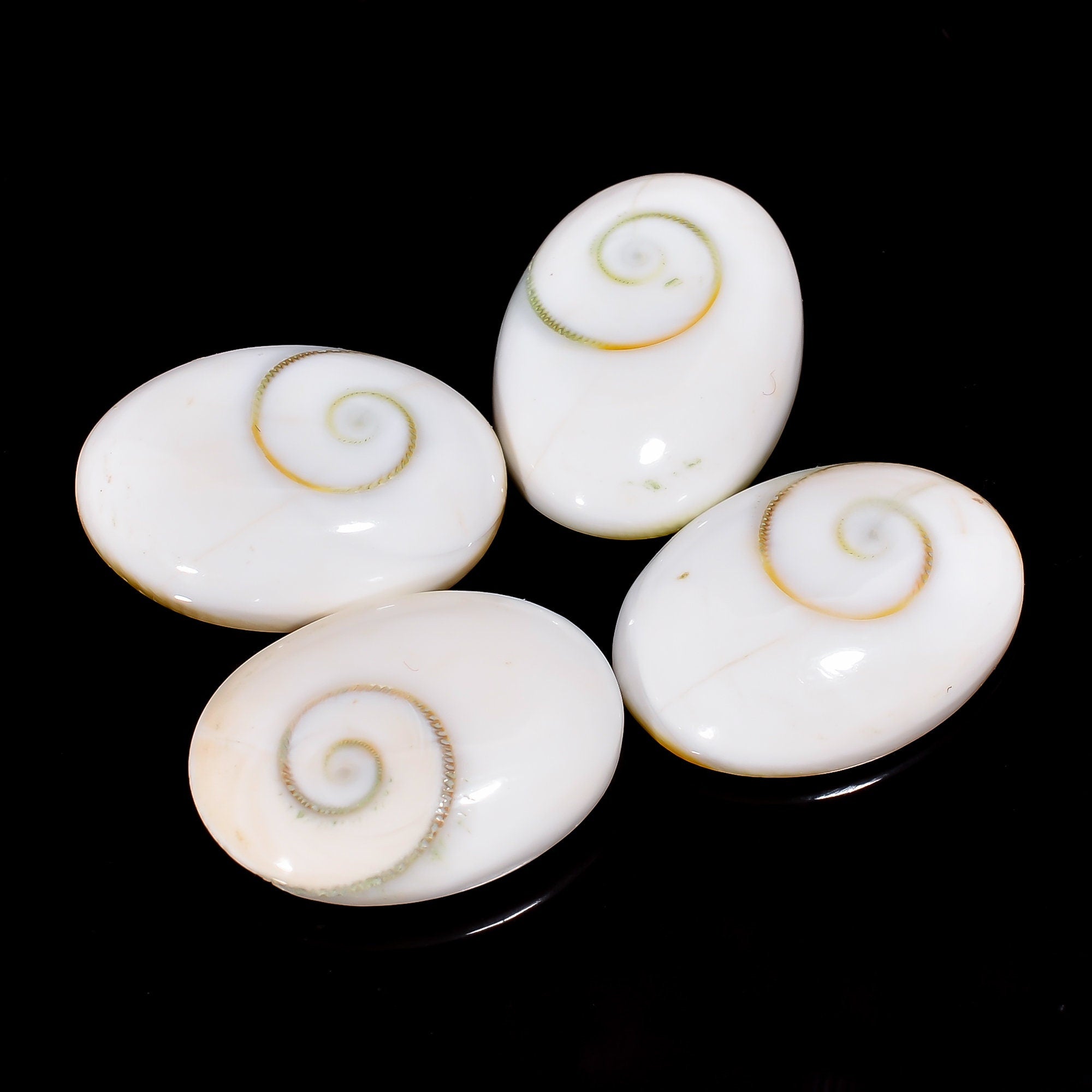 Oval Shiva Eye Shell Cabochons, Natural Gemstone, Jewelry Making (4 Pcs) - image 2