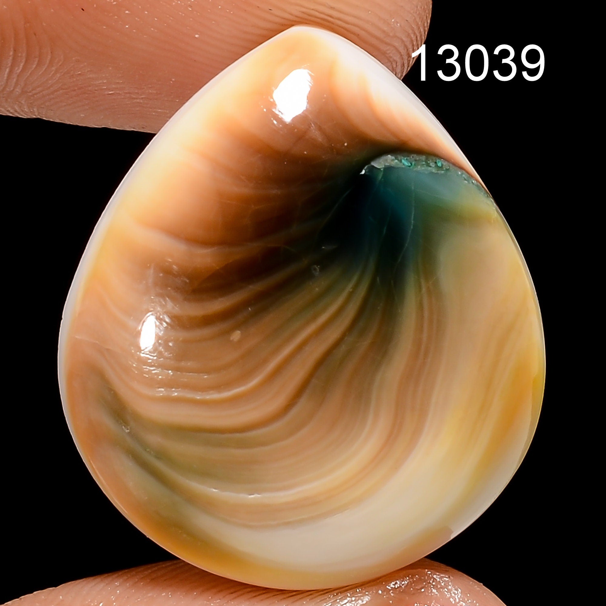 Natural Shiva Eye Shell Cabochon: Rare Gemstone for Jewelry Making - image 6