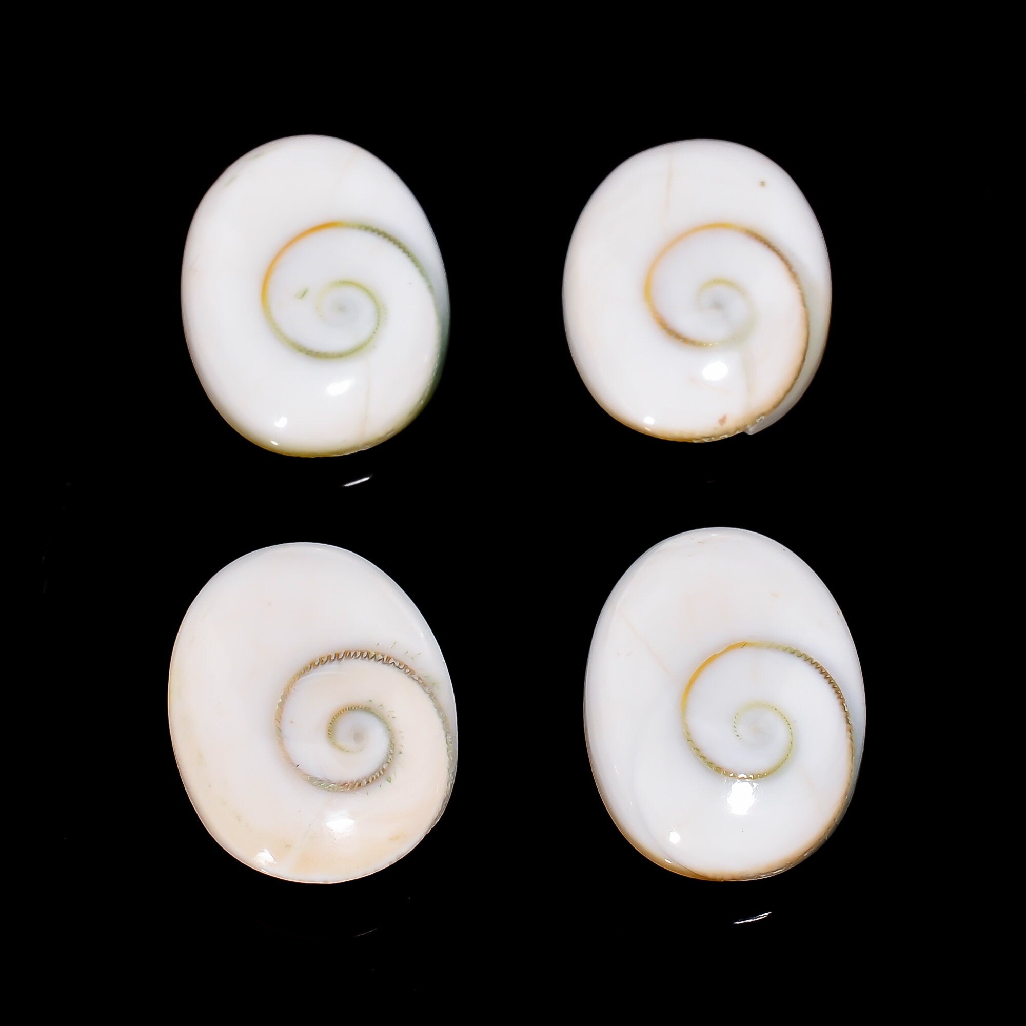 Oval Shiva Eye Shell Cabochons, Natural Gemstone, Jewelry Making (4 Pcs) - image 4