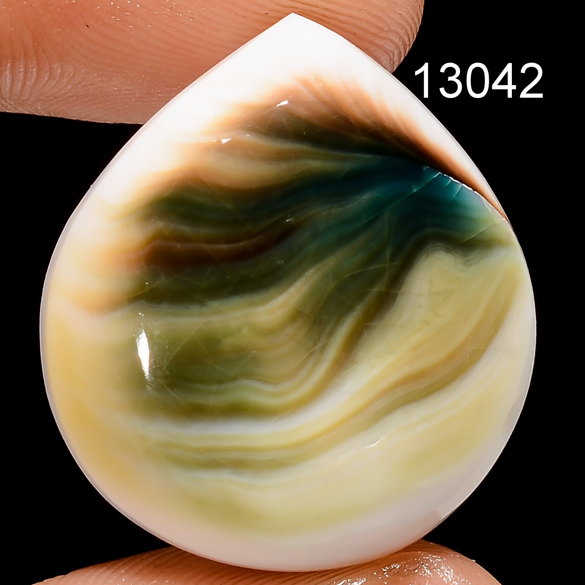 Natural Shiva Eye Shell Cabochon: Rare Gemstone for Jewelry Making