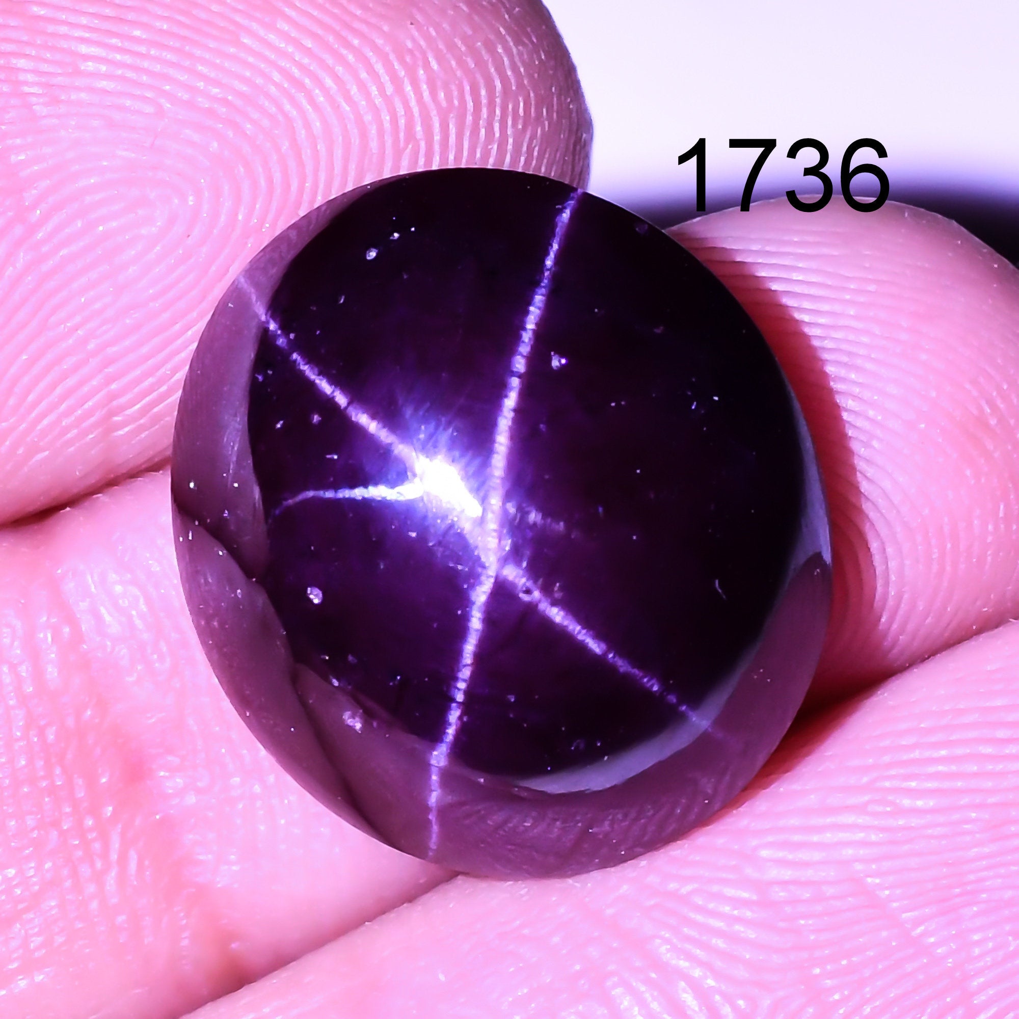 Natural star Garnet Gemstone Oval Shape Four Ray Cabochons January Birthstone