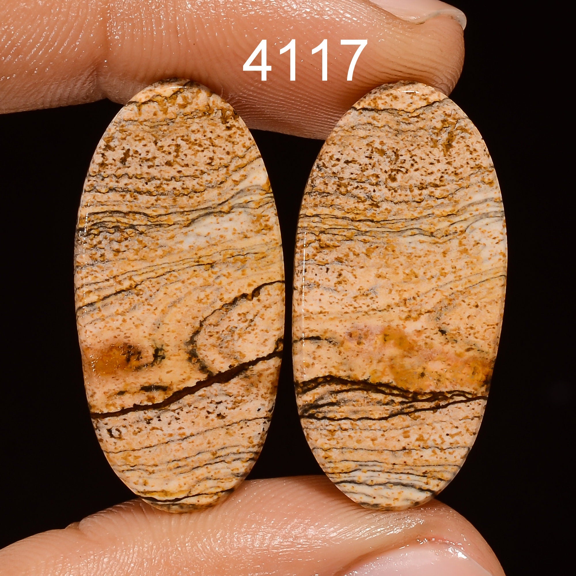 AAA Quality Natural Picture Jasper Loose Gemstone Pair for Designer Earrings Jewelry Making Christmas Gift