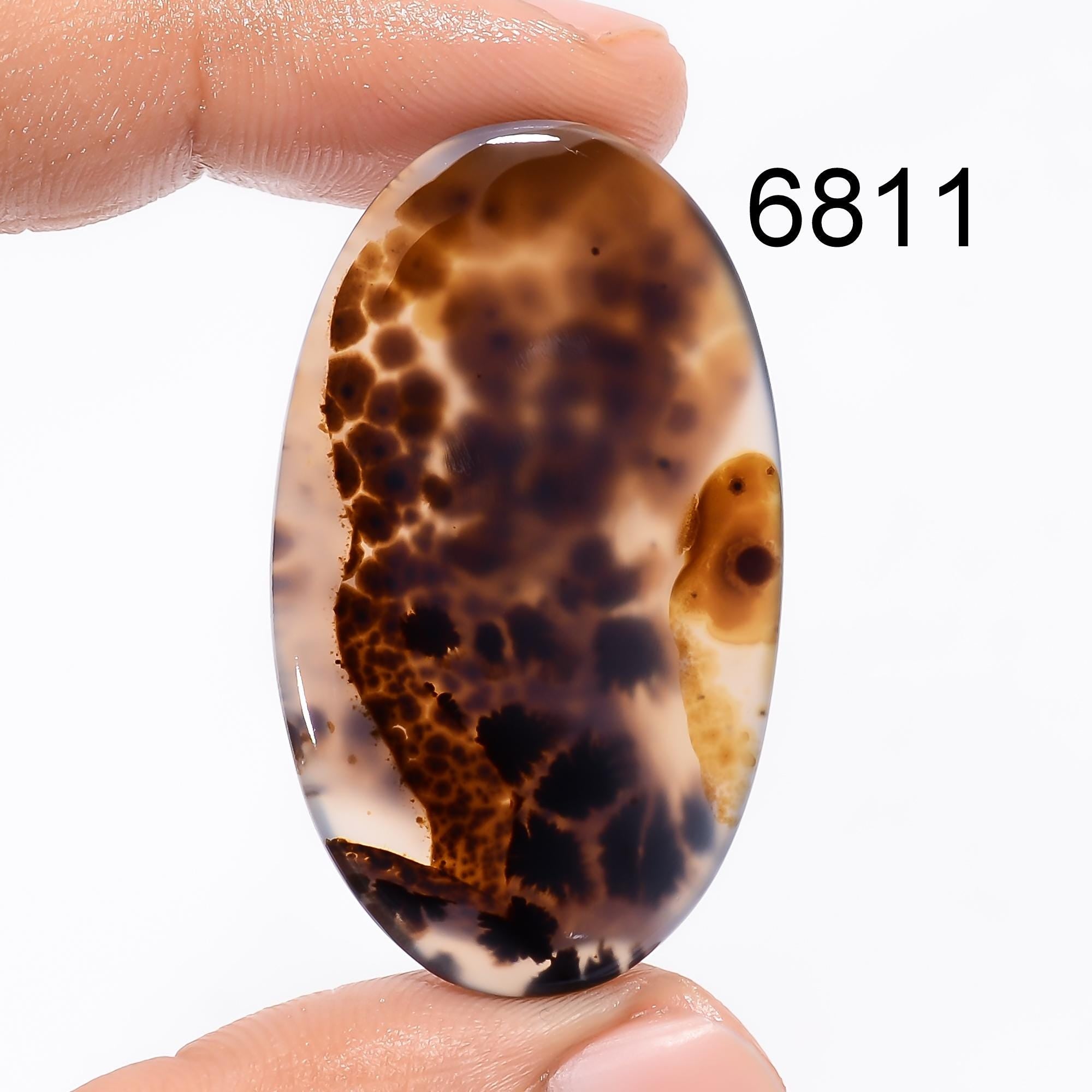 Multi Color Montana Agate Gemstone Cabochon, AAA Quality - image 2
