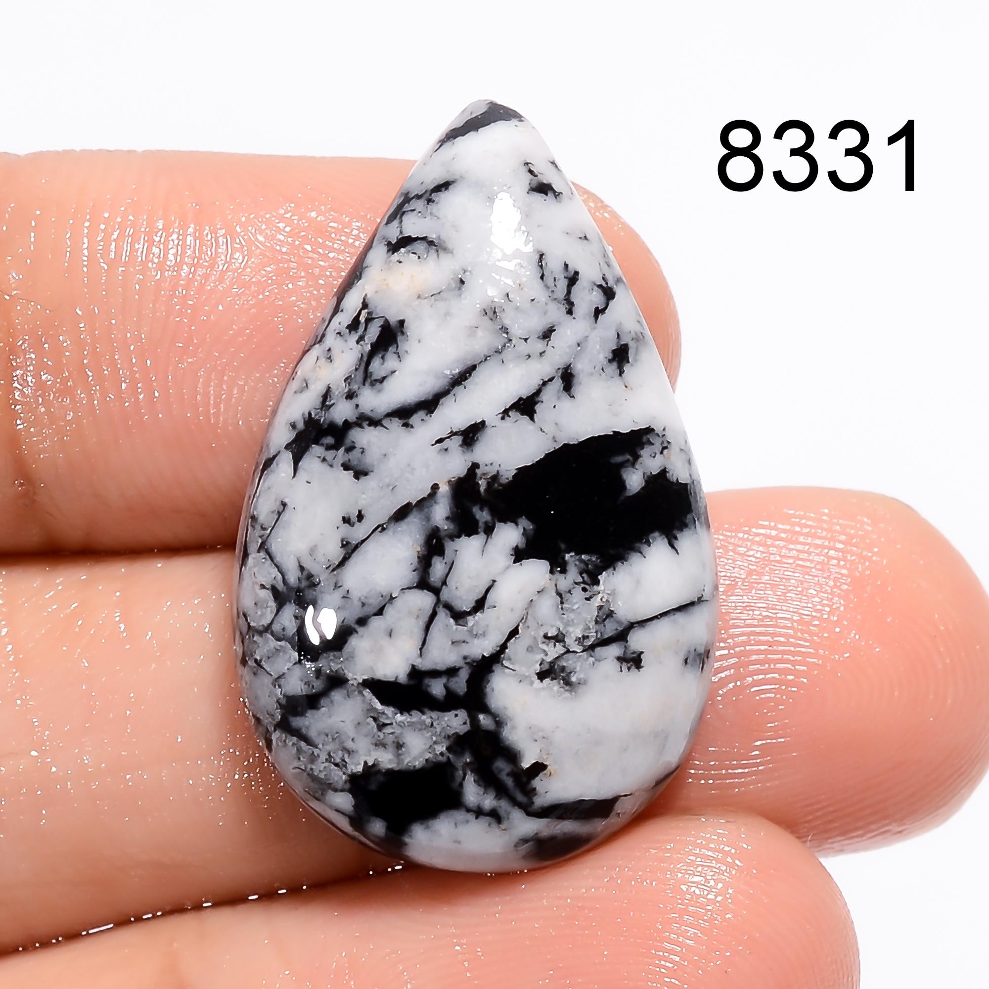 Natural Black Chrysanthemum Cabochon Loose Smooth Polished Gemstone - image 3