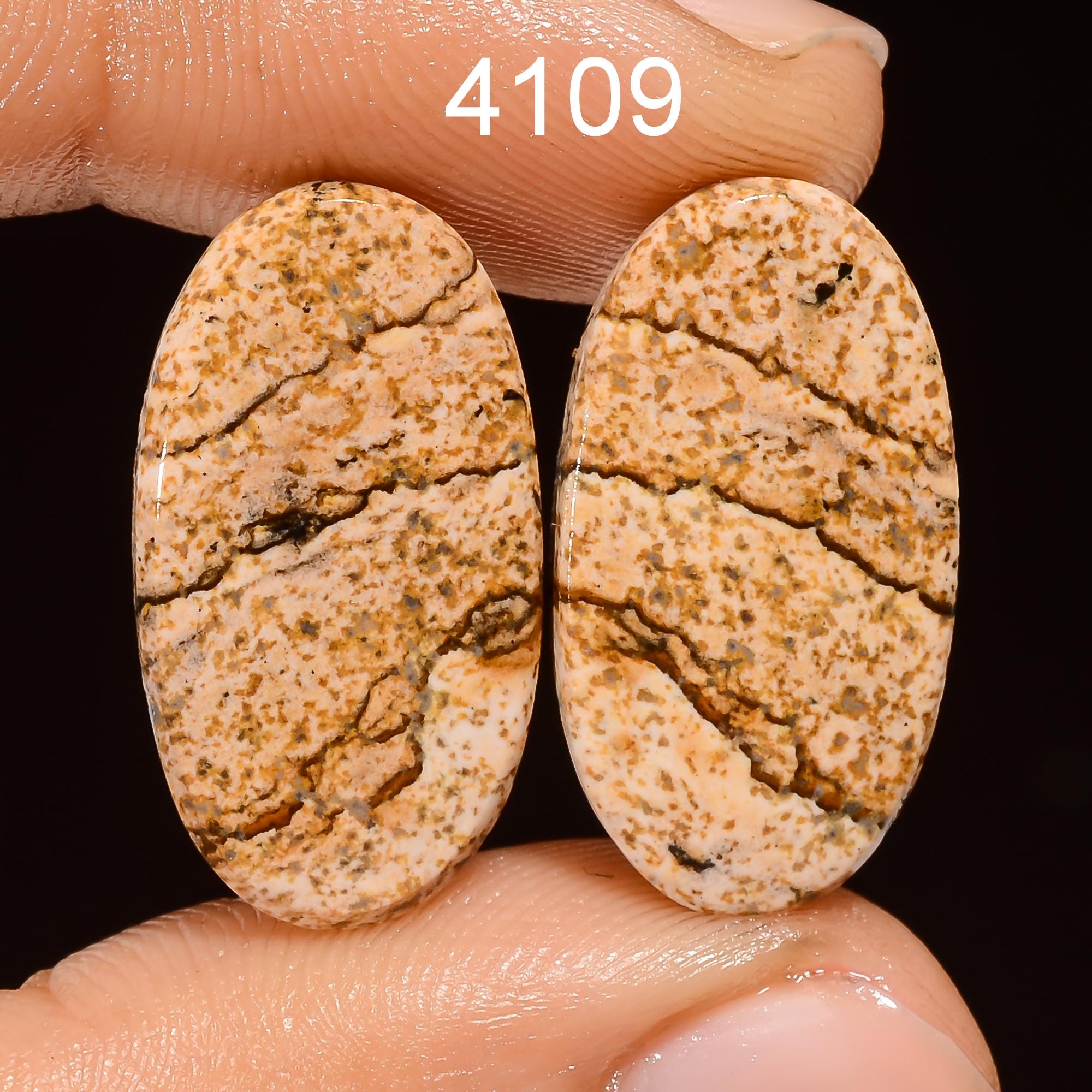 Natural Picture Jasper Cabochon Pair, AAA Quality Gemstone