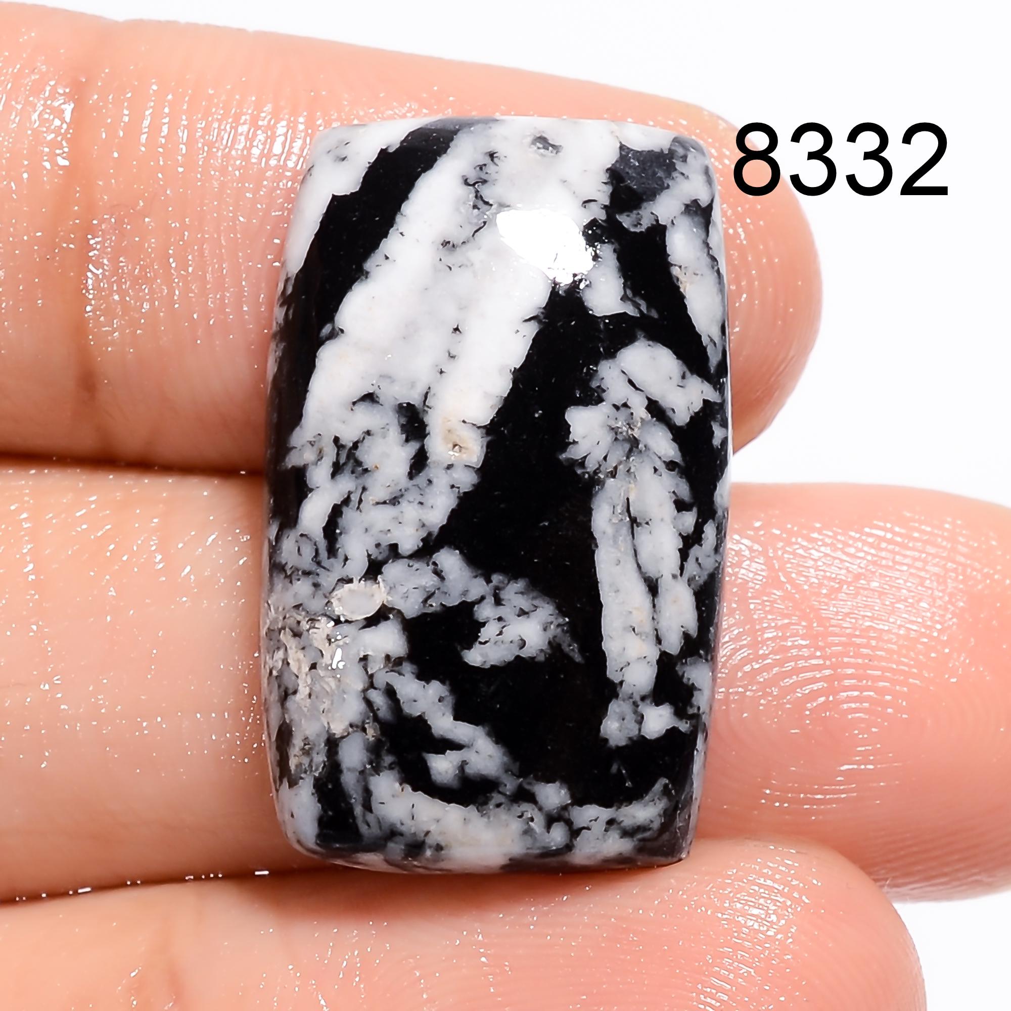 Natural Black Chrysanthemum Cabochon Loose Smooth Polished Gemstone - image 4