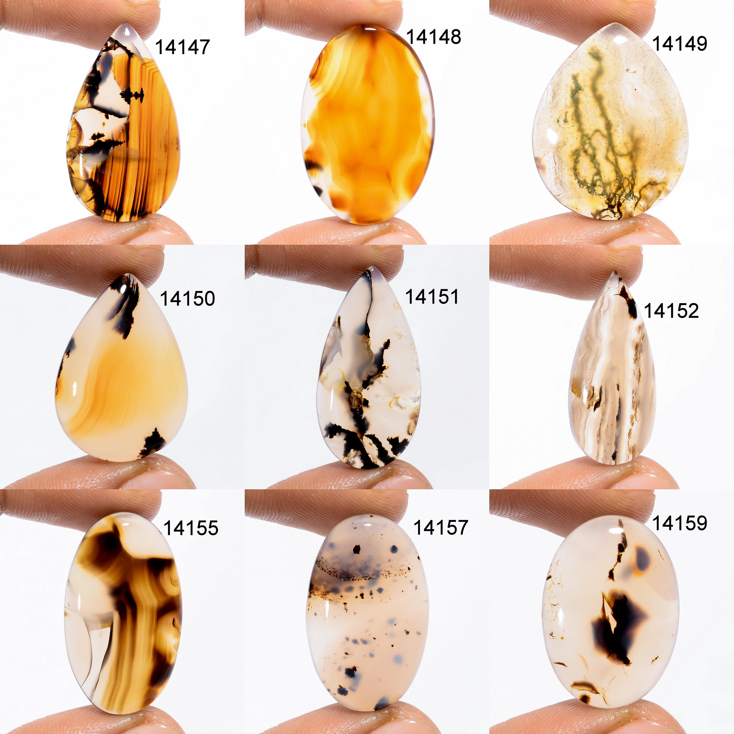 Montana Agate Cabochon, Multi Color Gemstone, AAA Quality - image 3