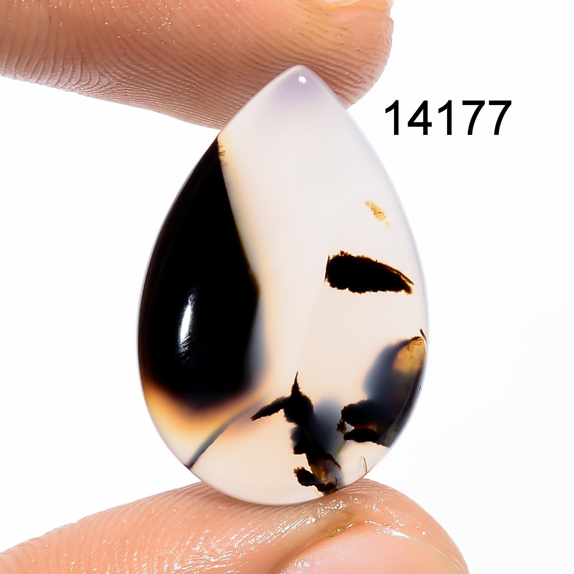 Montana Agate Cabochon, Multi Color Gemstone, AAA Quality - image 2