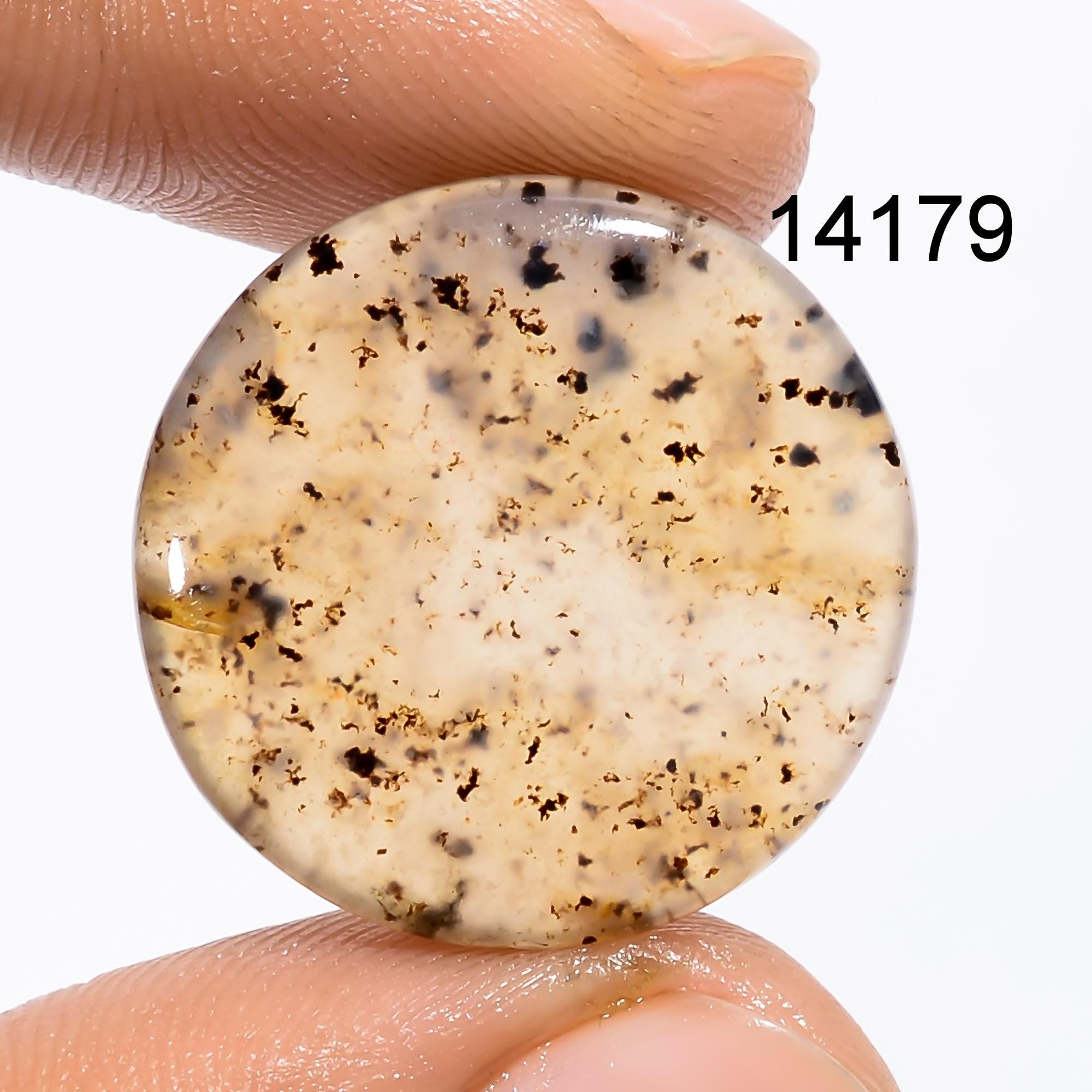 Montana Agate Cabochon, Multi Color Gemstone, AAA Quality - image 5
