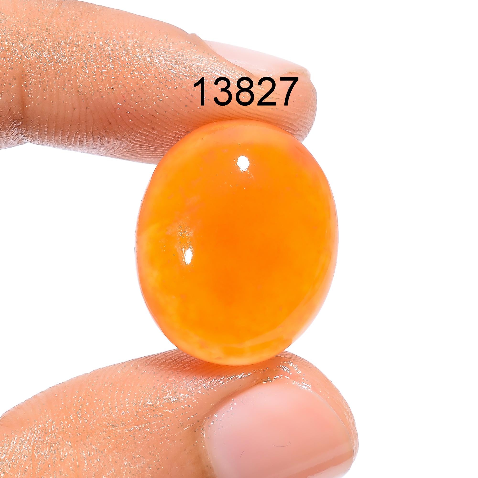 Natural Carnelian Gemstone, Mix Shape Carnelian Cabochon, Loose Designer Gemstone Cabochon For Jewelry Marking Supply, H
