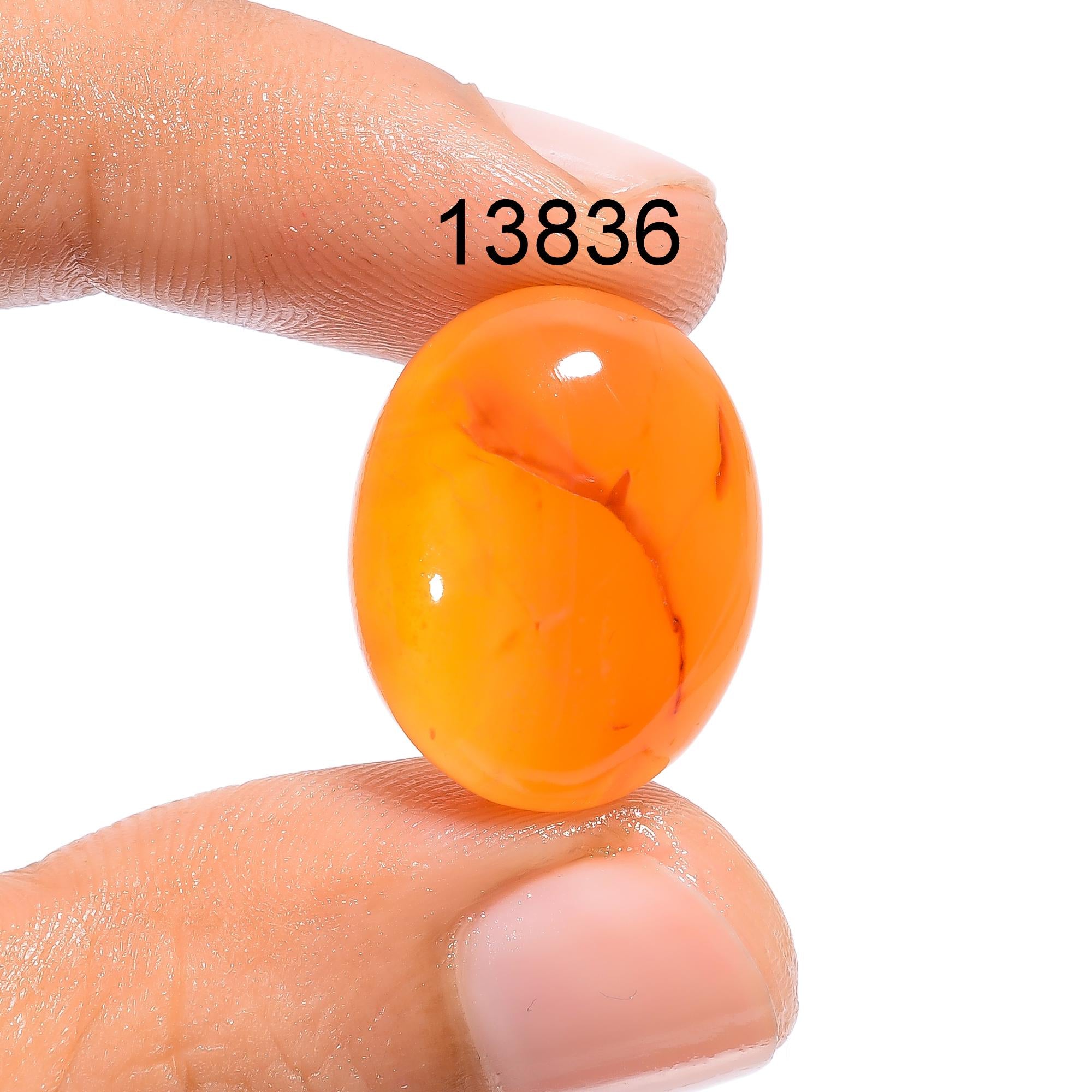 Natural Carnelian Gemstone, Mix Shape Carnelian Cabochon, Loose Designer Gemstone Cabochon For Jewelry Marking Supply, H - image 8