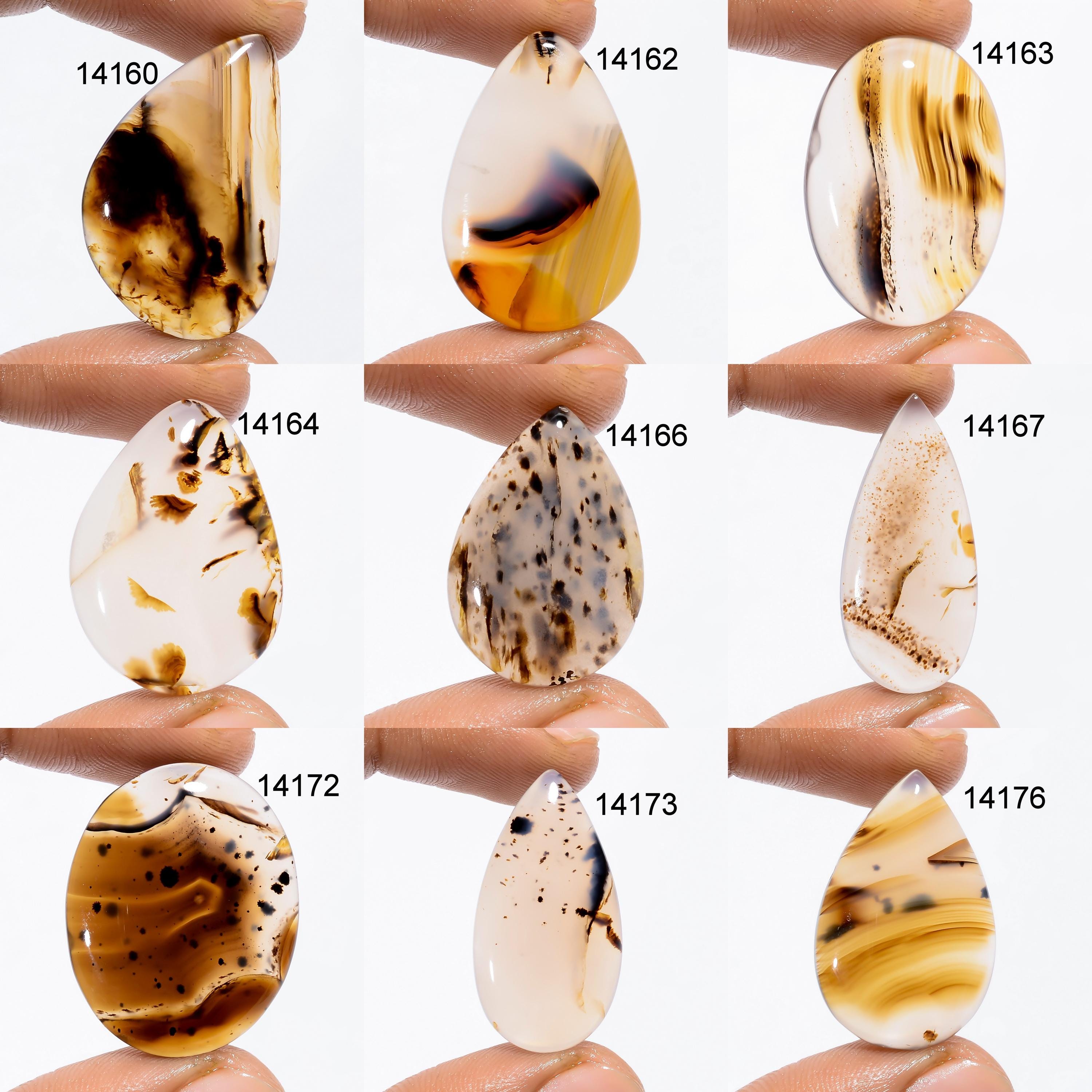 Montana Agate Cabochon, Multi Color Gemstone, AAA Quality - image 4
