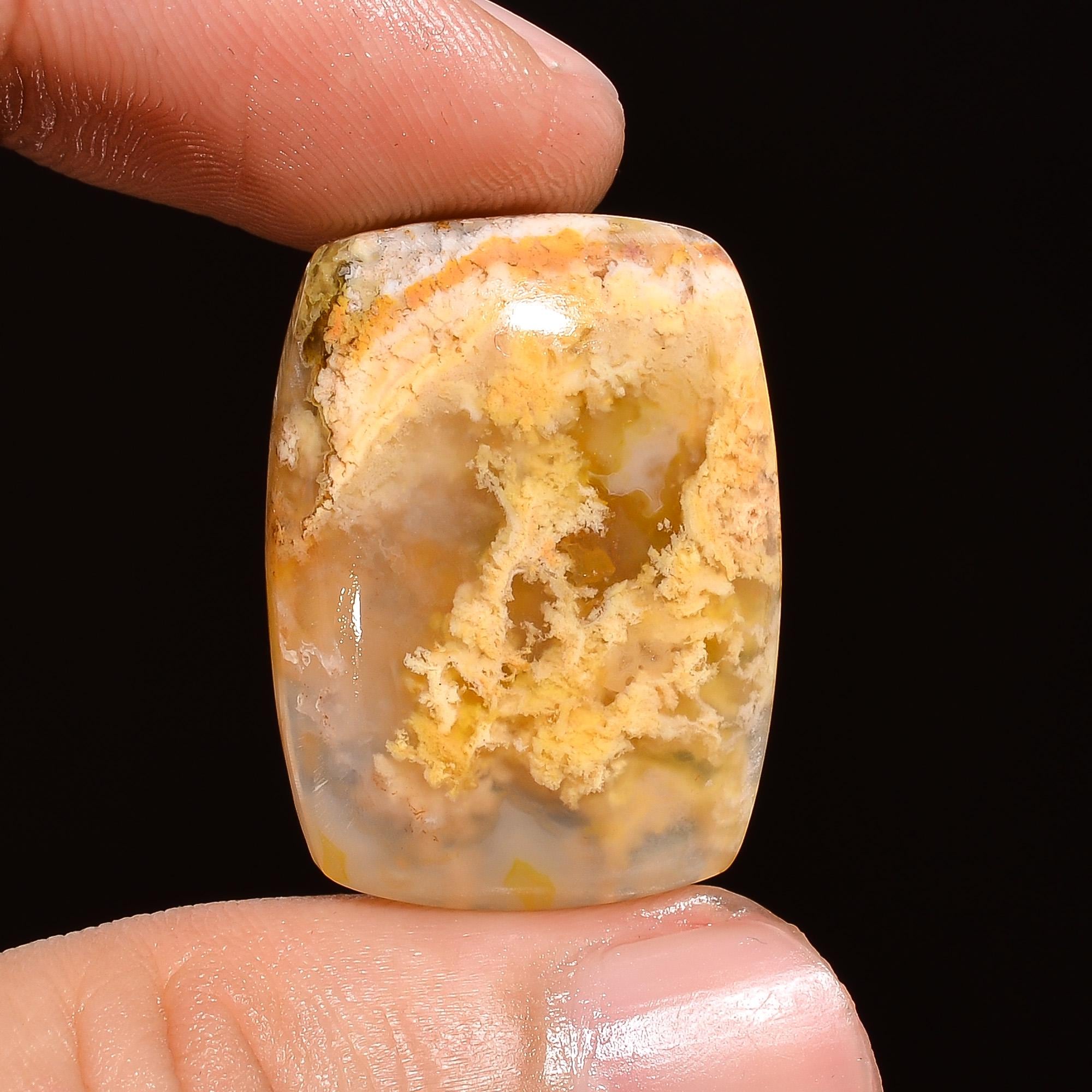 Palm Wood Agate Cabochon: Radiant Cut Gemstone, Jewelry Making (26X19X5 mm, 26.5 Cts